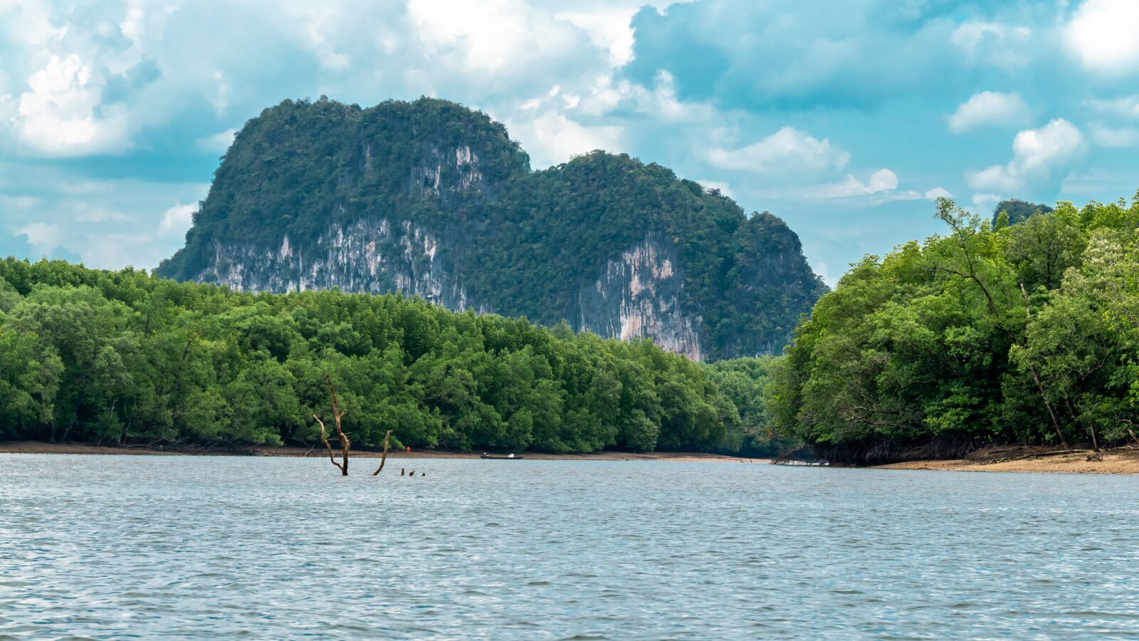 Nikon D5600 sample photo. Mountains, trees, rocks photography