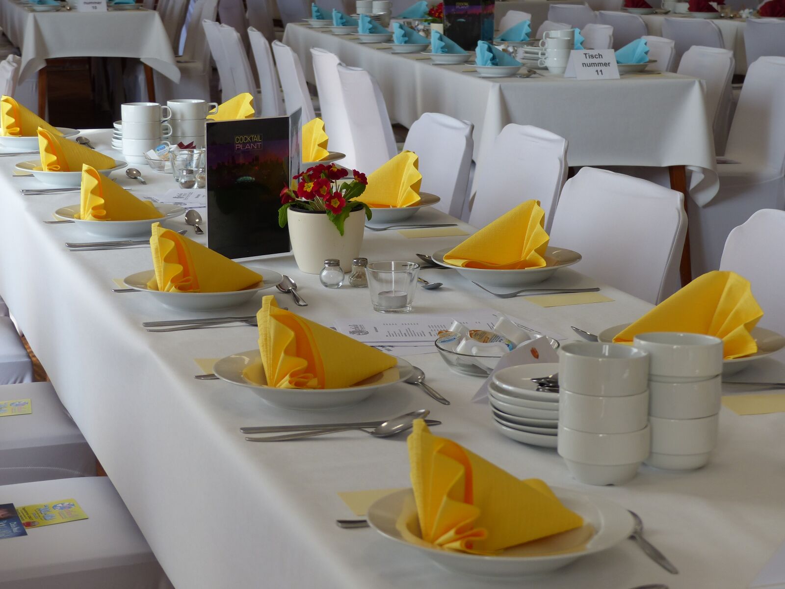 Panasonic Lumix DMC-FZ200 sample photo. Dining tables, napkins, gedeckter photography