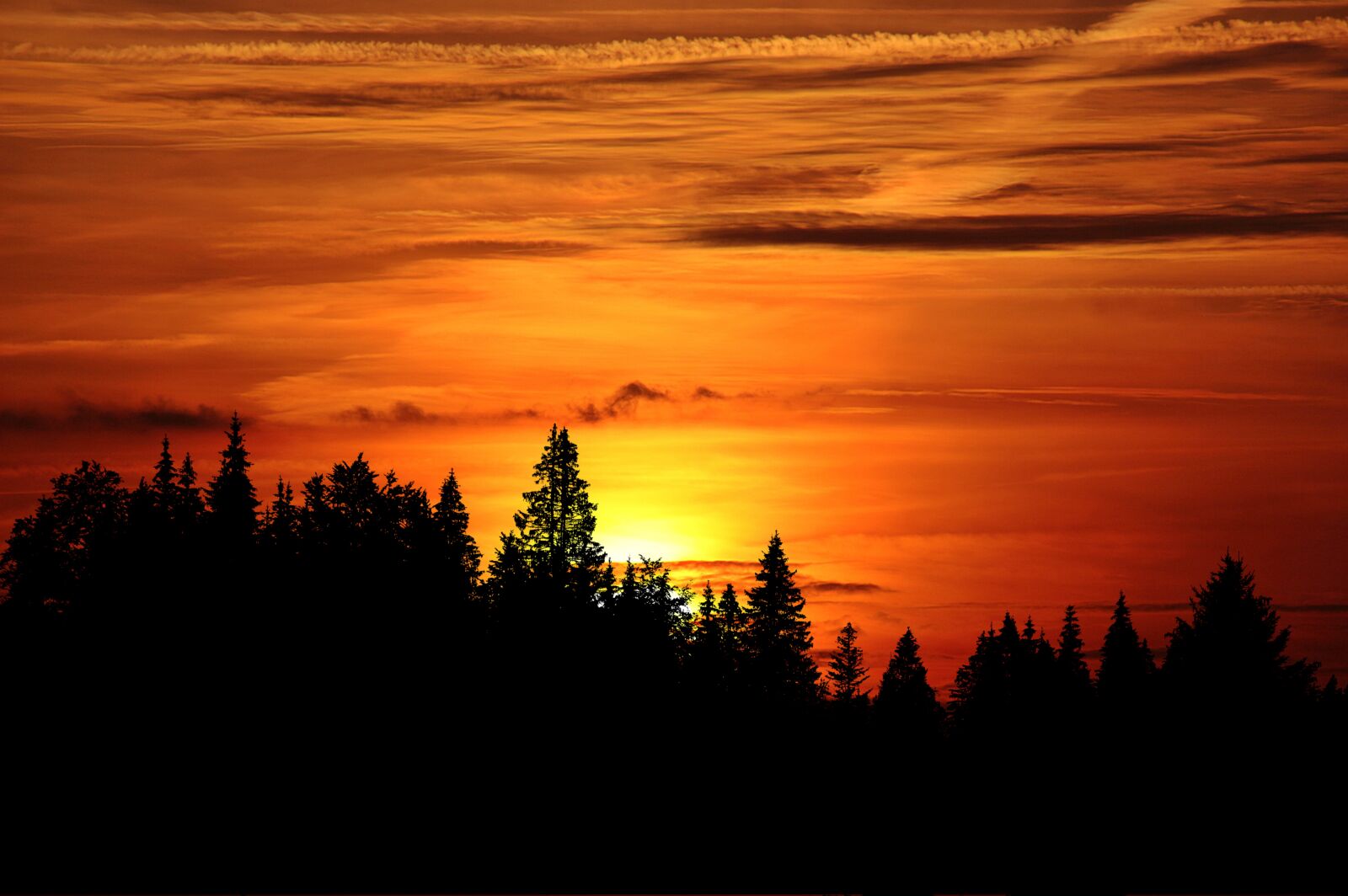 Nikon D3200 sample photo. Sunset, trees, silhouette photography