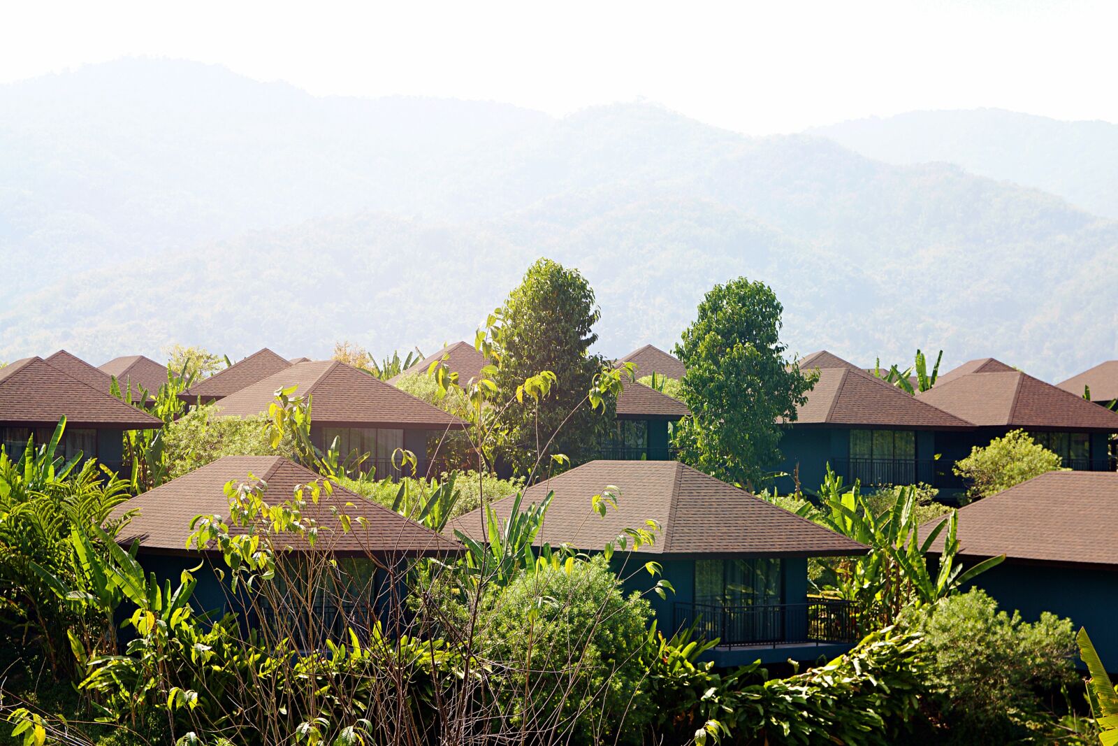 Canon EOS 600D (Rebel EOS T3i / EOS Kiss X5) sample photo. Chiang rai, thailand, large photography