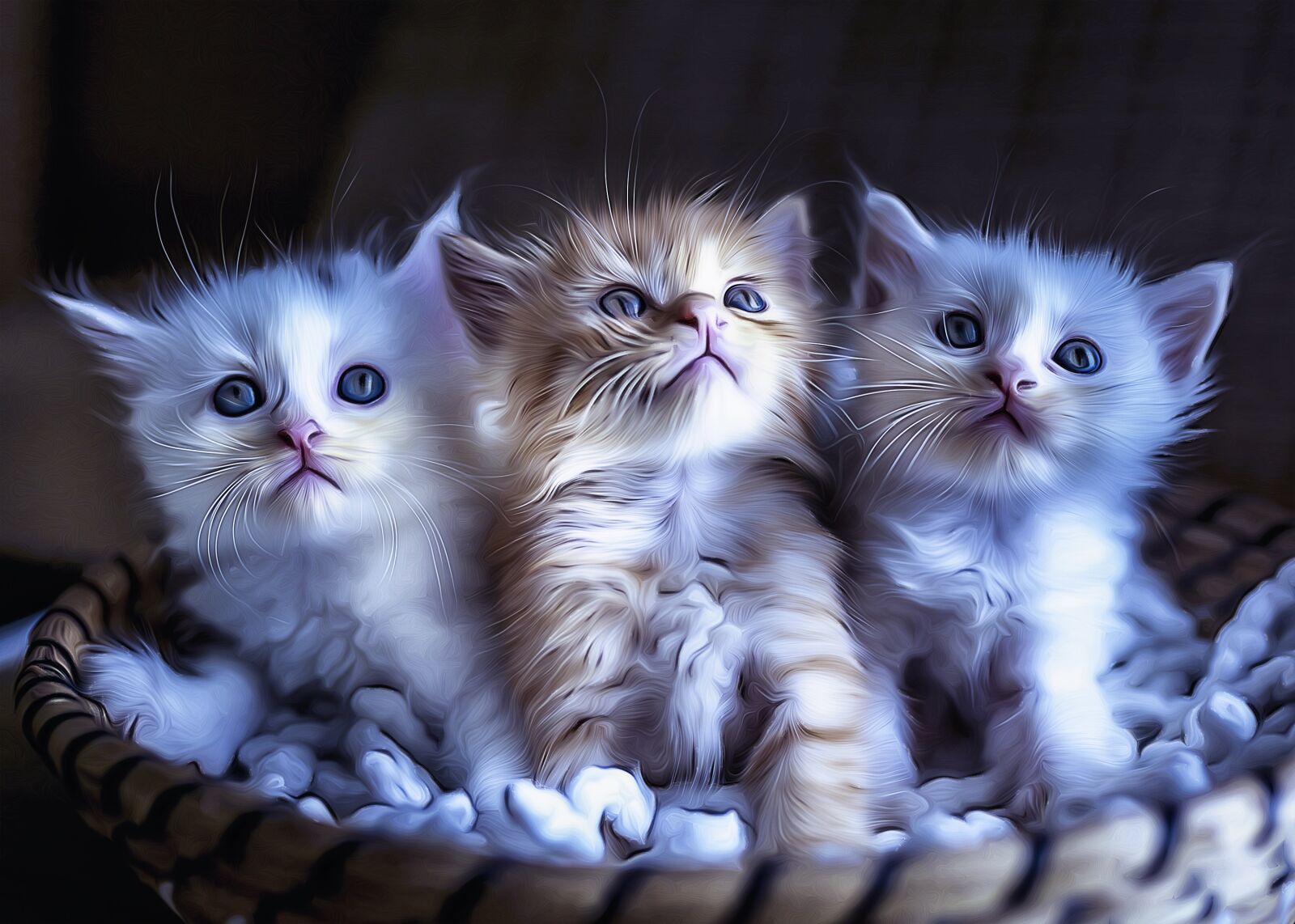 Canon EOS 5D Mark III sample photo. Cat, page, three photography