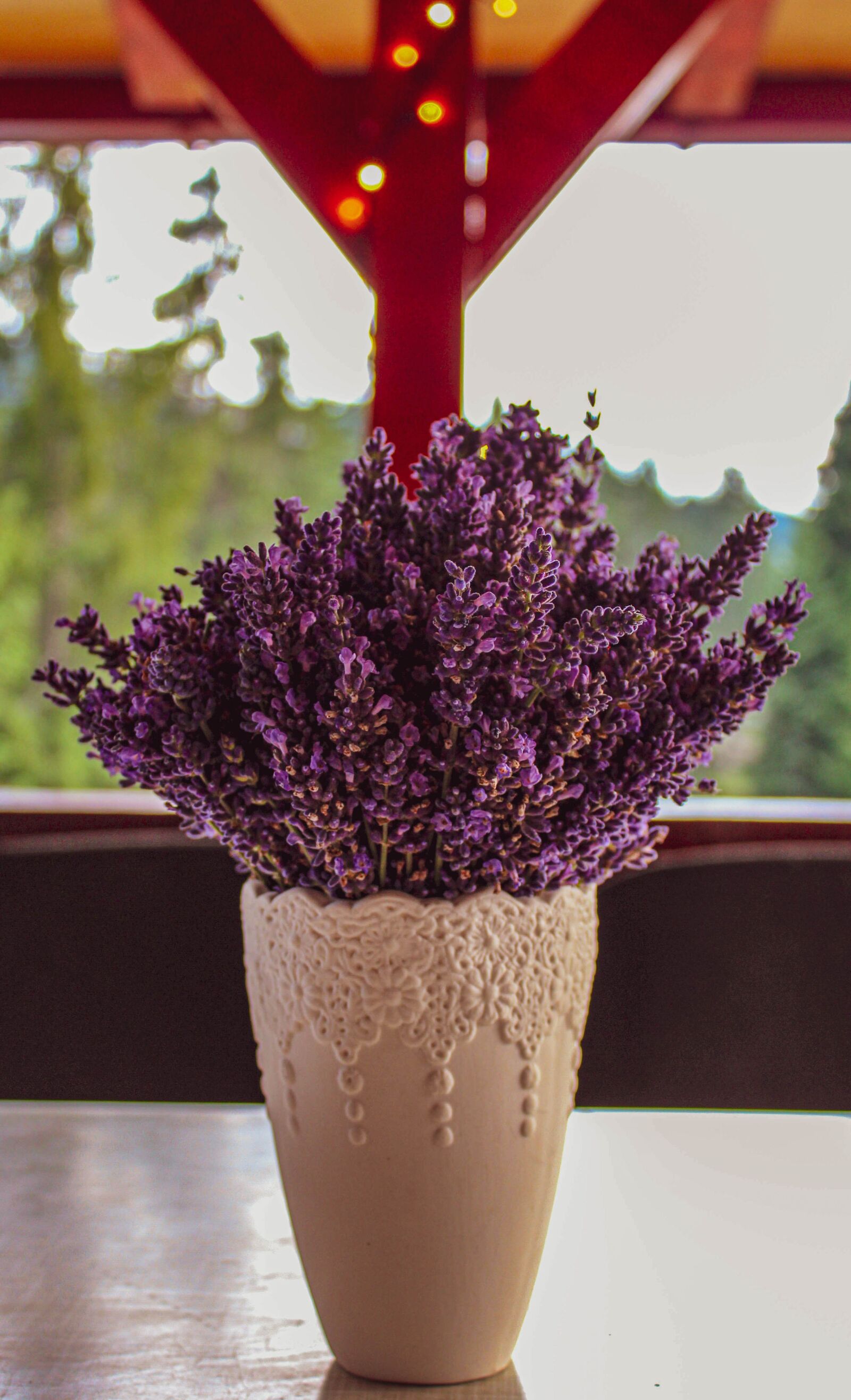 Canon EOS 1300D (EOS Rebel T6 / EOS Kiss X80) sample photo. Lavender, bokeh, plant photography