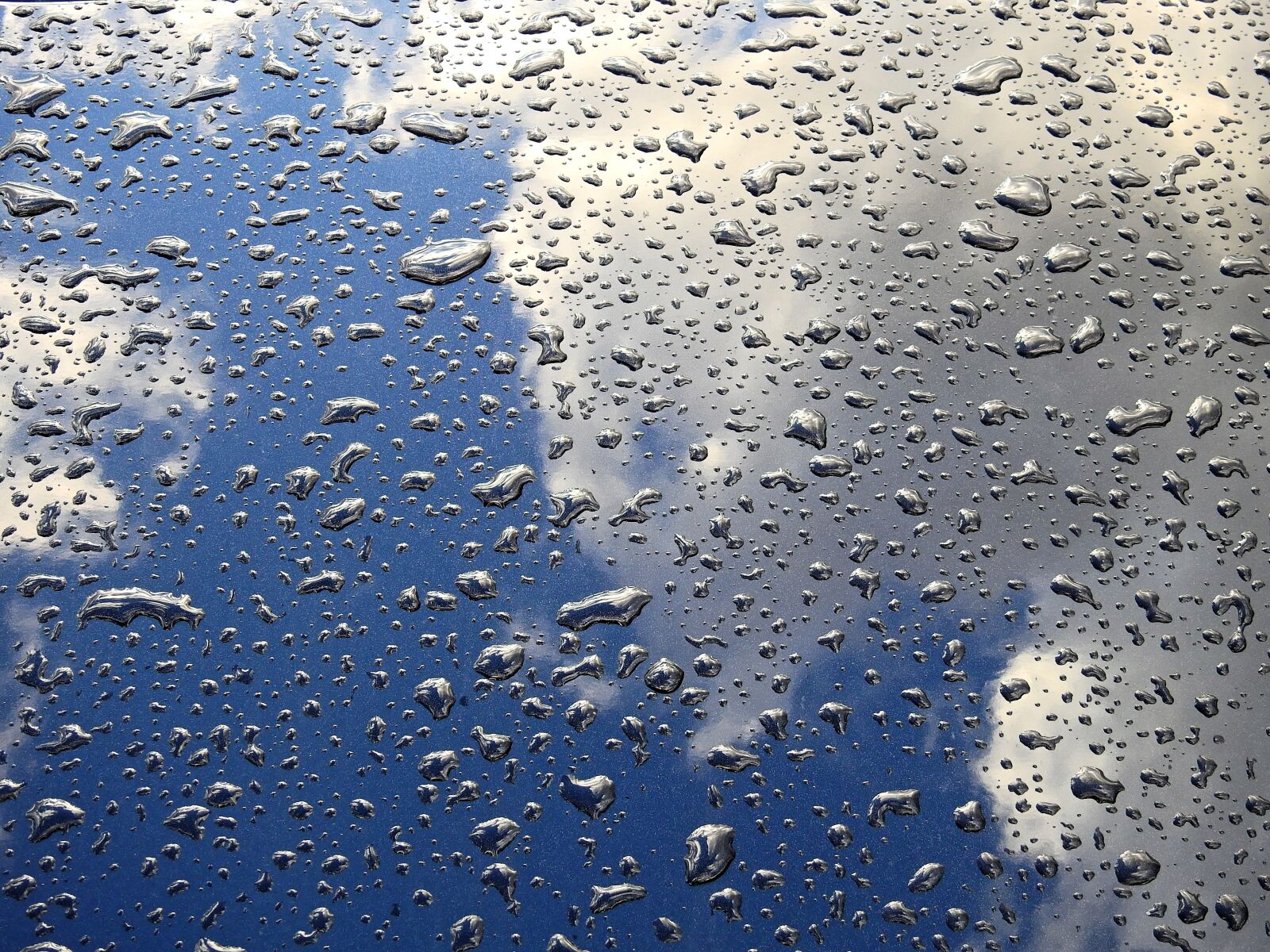 Nikon Coolpix P900 sample photo. Water, drip, drop of photography