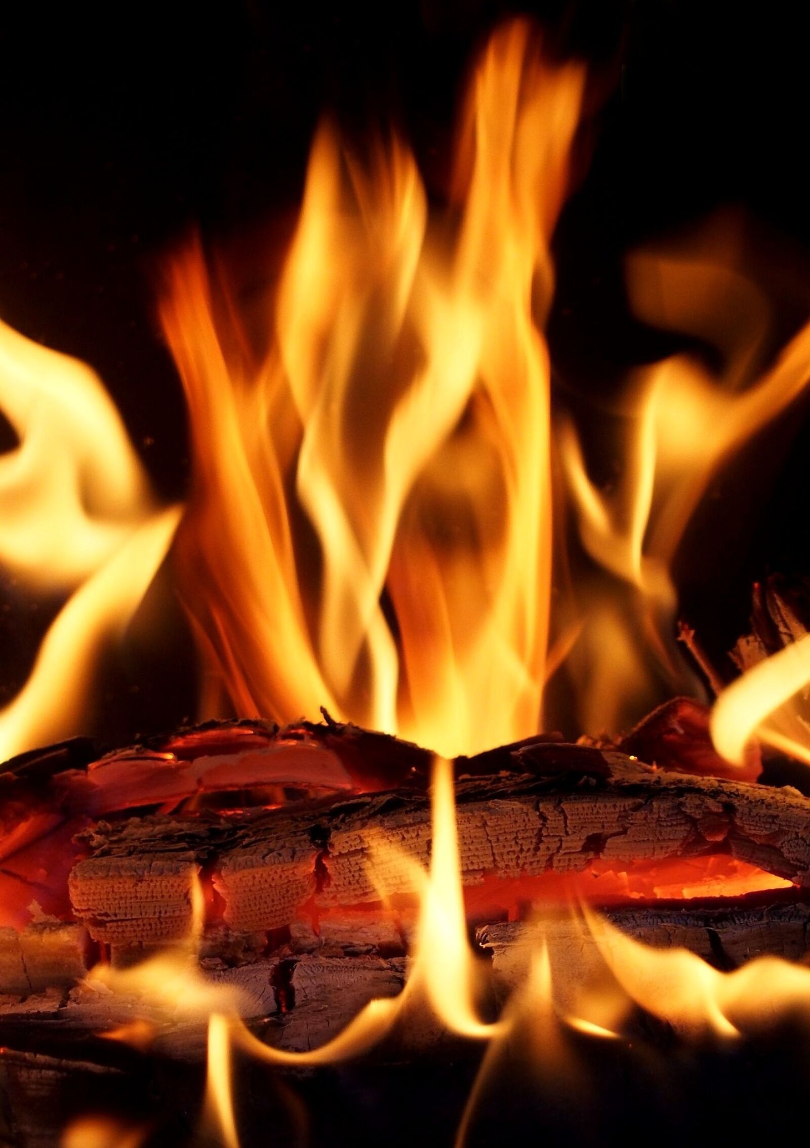 Olympus PEN E-PL6 sample photo. Fire, flame, wood photography