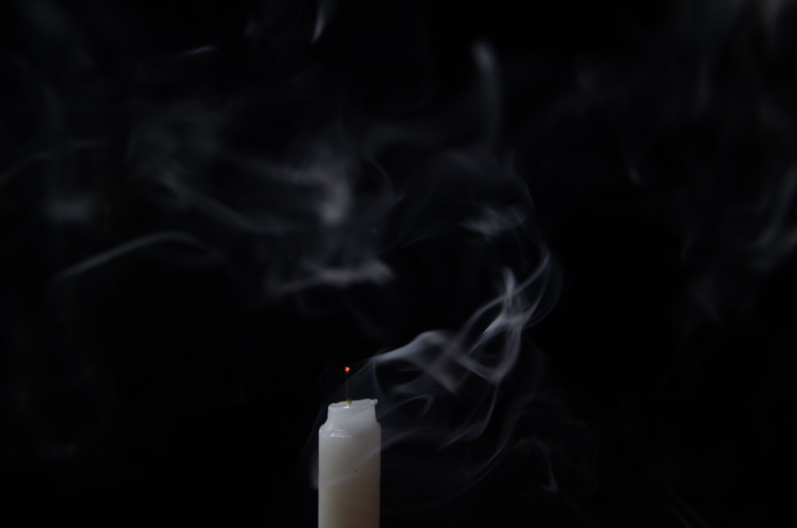 Nikon D5100 sample photo