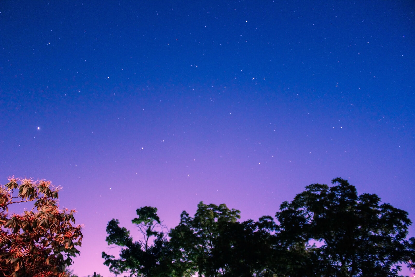 Canon EOS 600D (Rebel EOS T3i / EOS Kiss X5) sample photo. Astro, night, time, relax photography