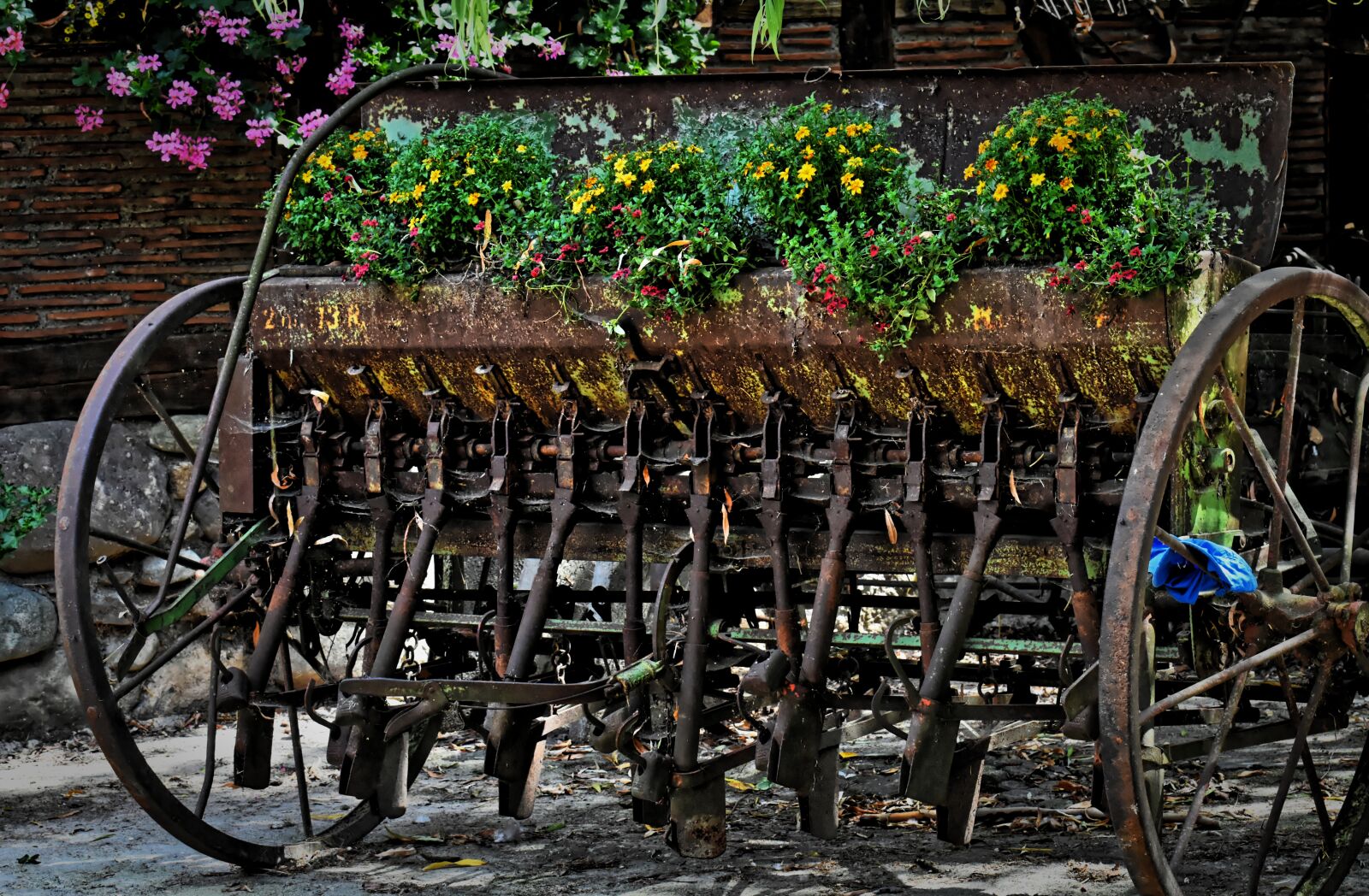 Nikon D7200 sample photo. Agriculture, device, old photography