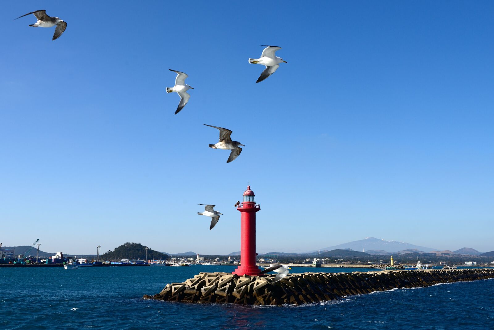 Nikon D800 sample photo. Jeju island, holy mountain photography