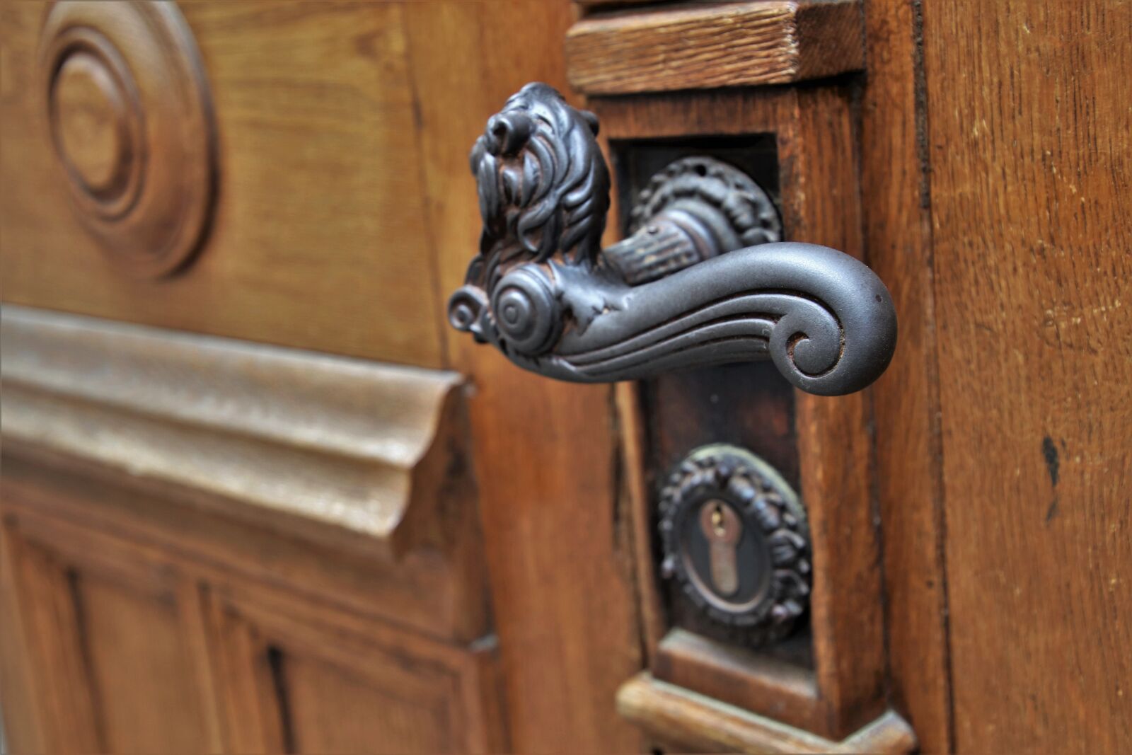 Canon EOS 80D sample photo. Door handle, fancy, forged photography