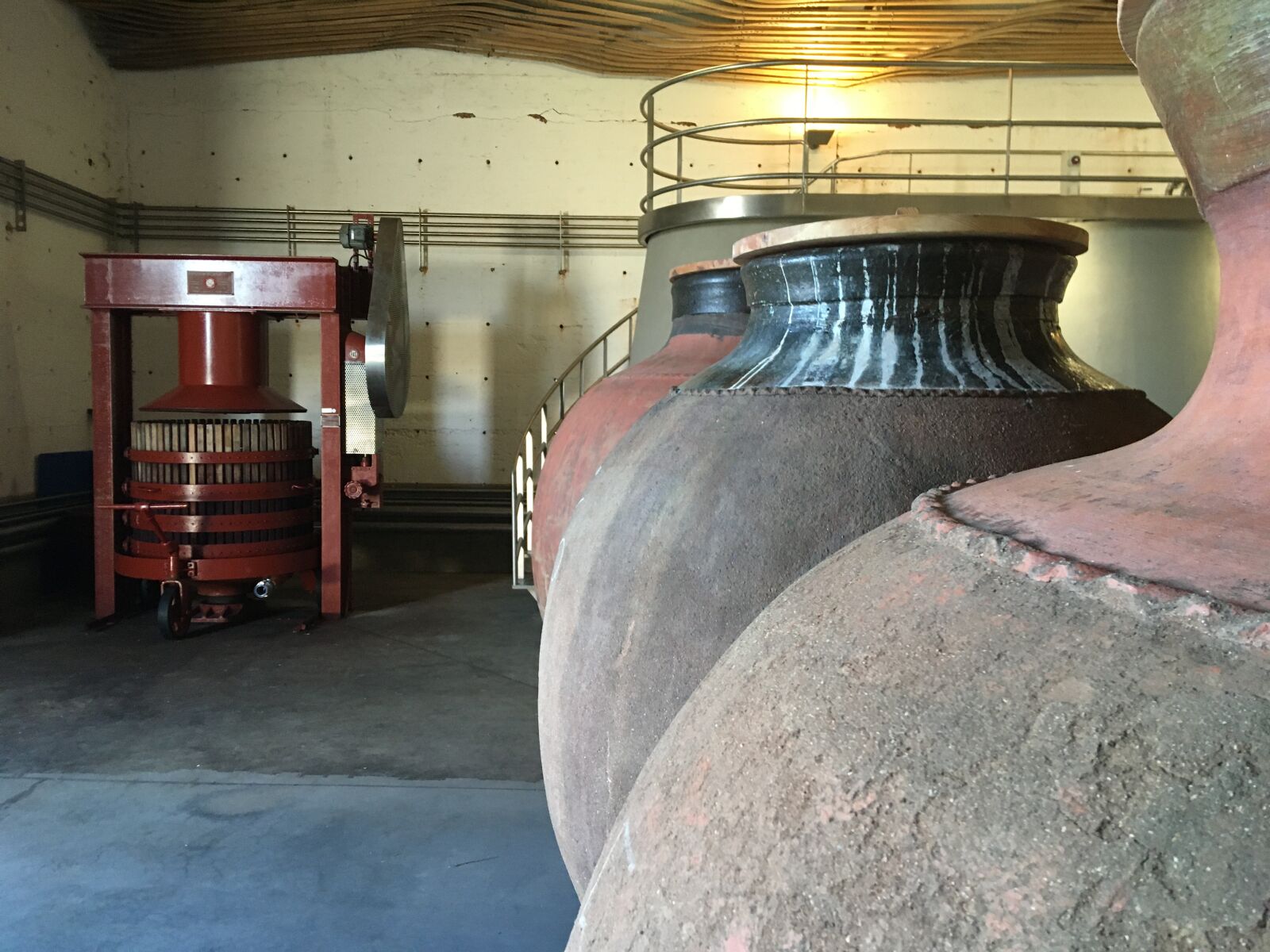 iPhone SE back camera 4.15mm f/2.2 sample photo. Portugal, wine, alentejo photography