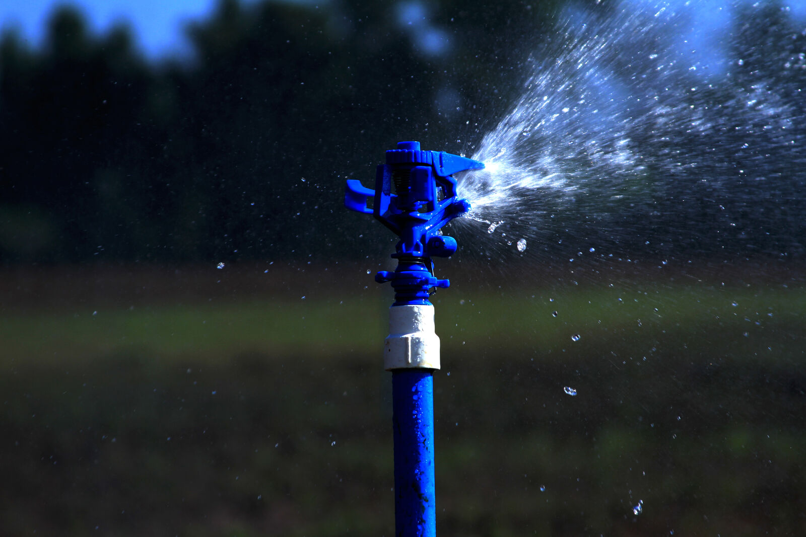 Canon EF 28-135mm F3.5-5.6 IS USM sample photo. Agriculture, clean, water, crops photography