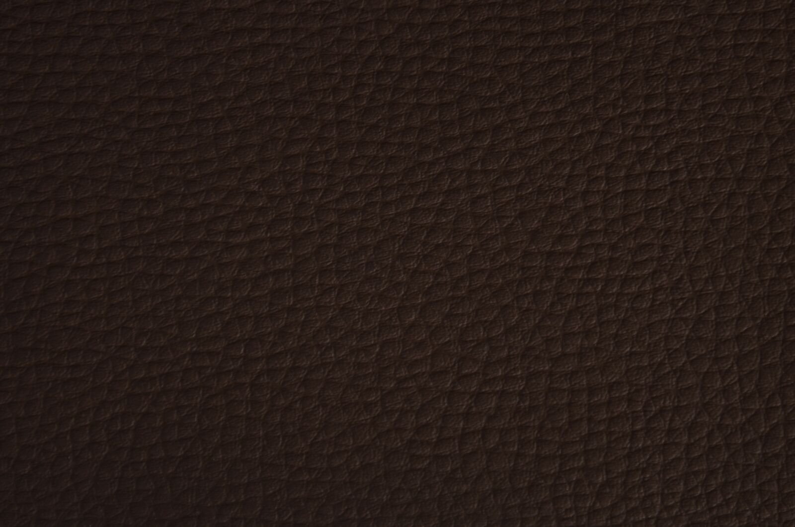 Nikon D7000 sample photo. Background, skin, brown photography