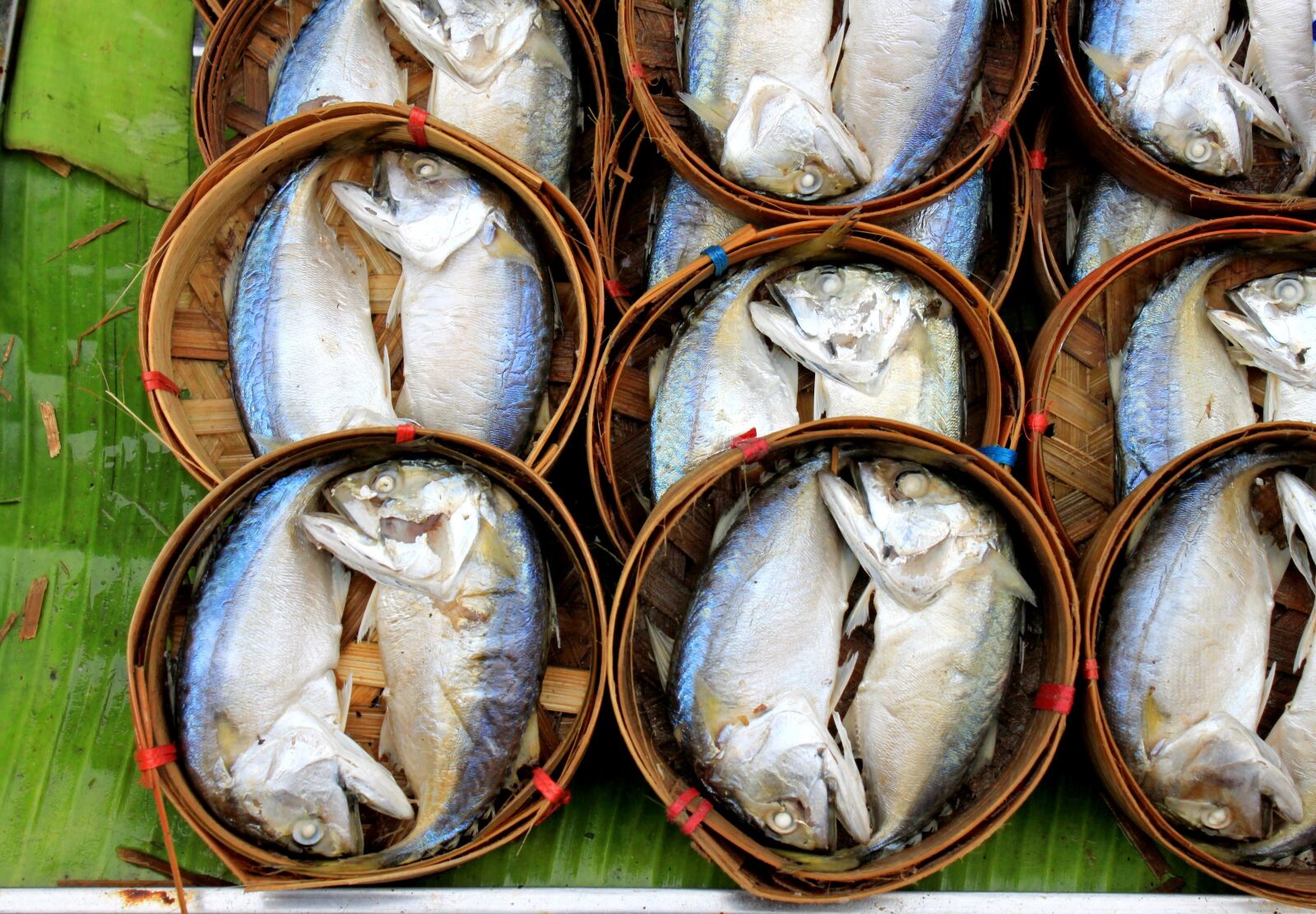Canon EOS 500D (EOS Rebel T1i / EOS Kiss X3) sample photo. Mackerel, food, fish photography