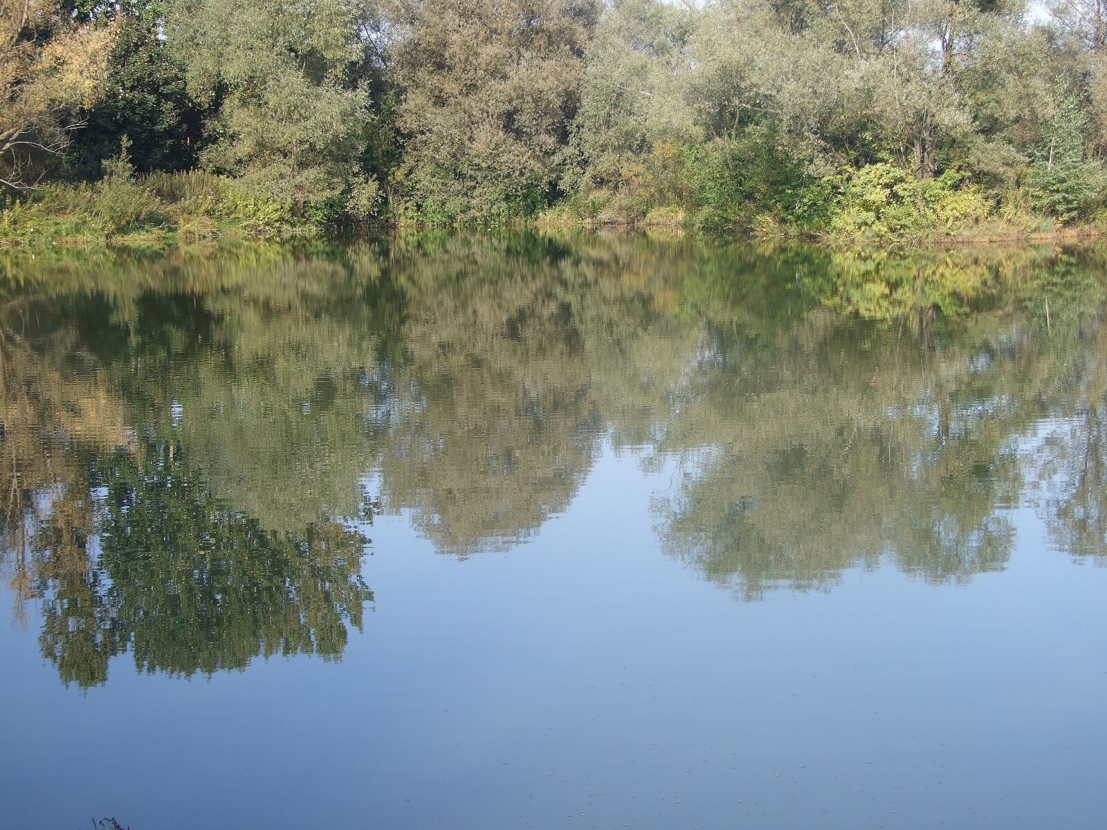 Fujifilm FinePix S6500fd sample photo. Water, reflection, tree photography