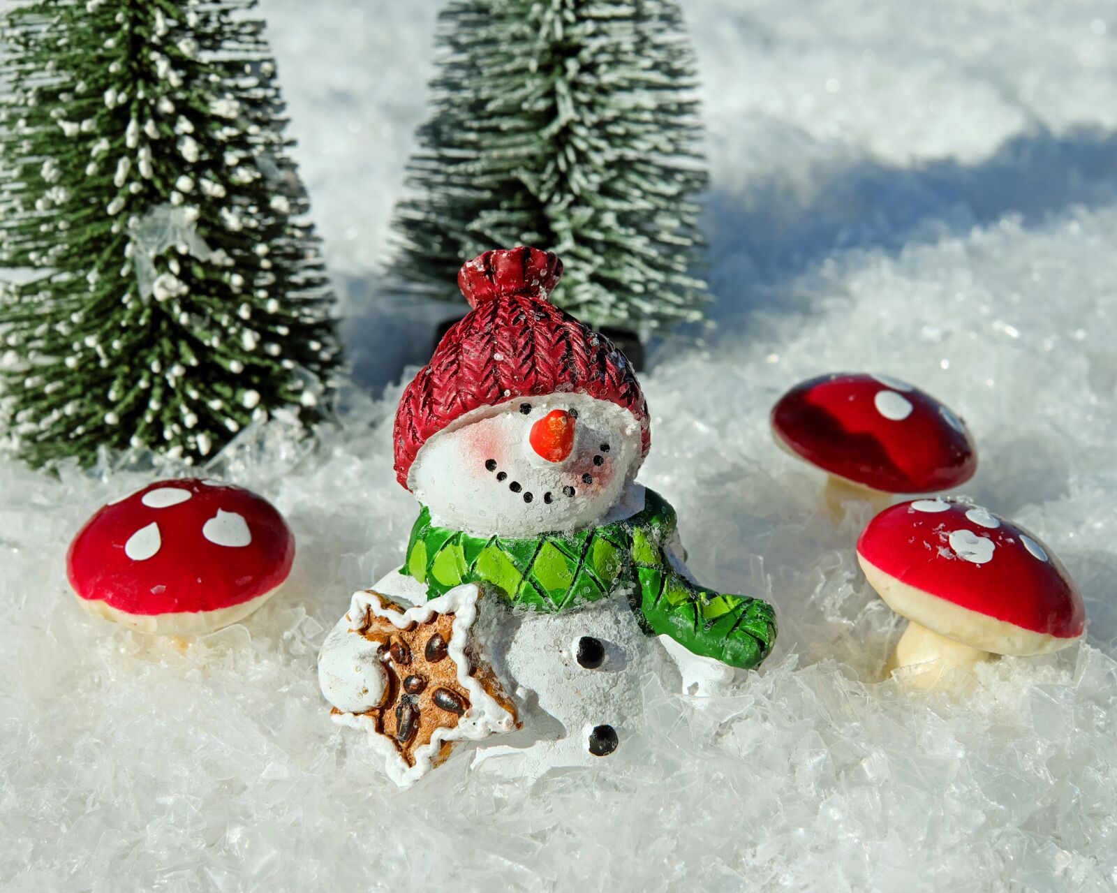 Fujifilm X-T10 + Fujifilm XF 35mm F1.4 R sample photo. Snowman, snow, crystals photography
