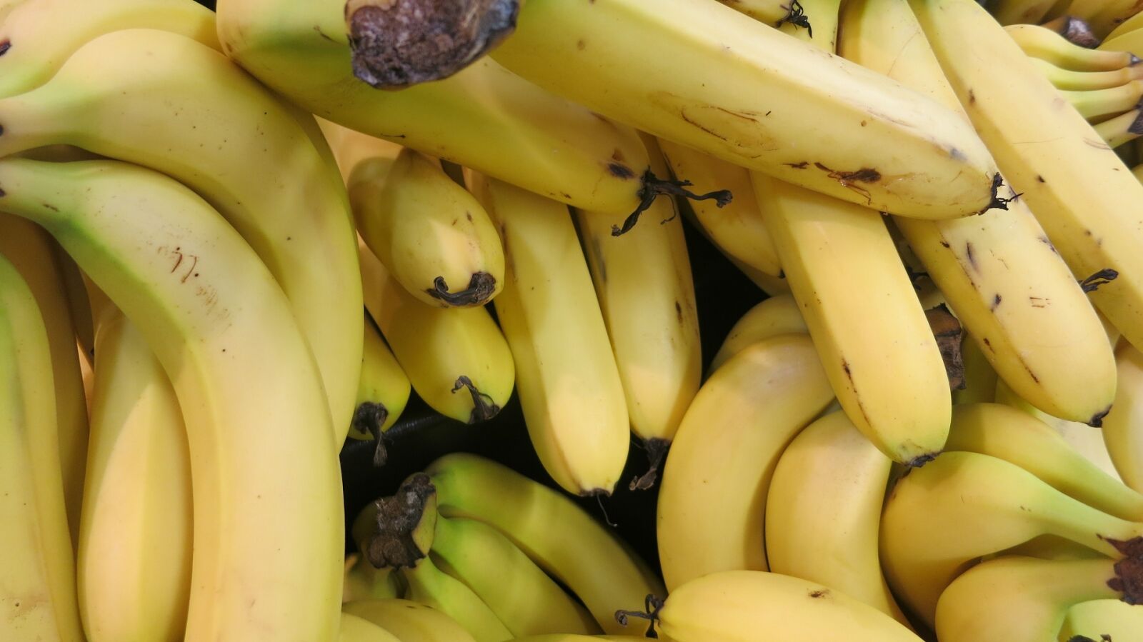 Canon PowerShot S110 sample photo. Bananas, ripe, agriculture photography