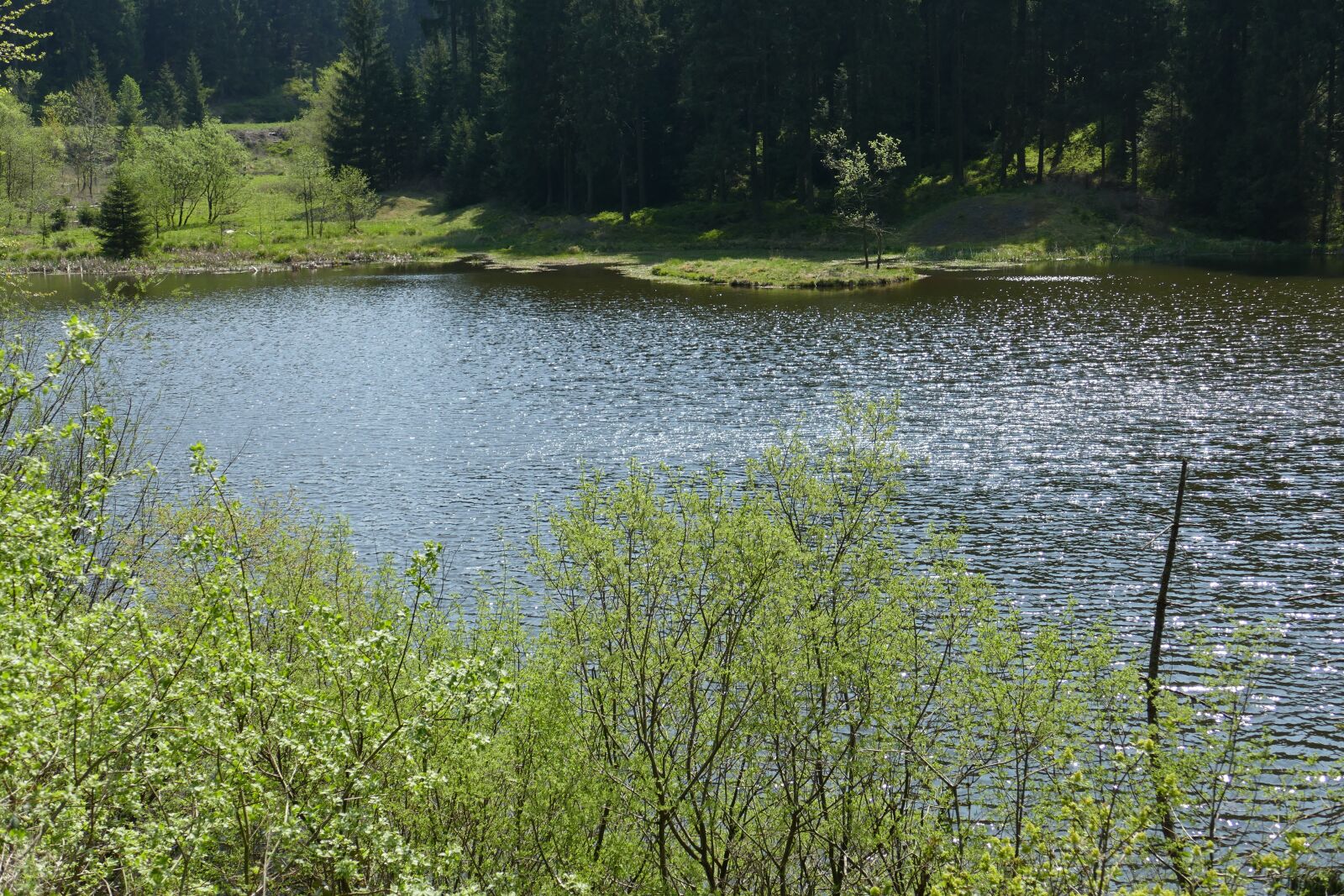 Panasonic Lumix DMC-FZ1000 sample photo. Grumbach pond, lake, water photography
