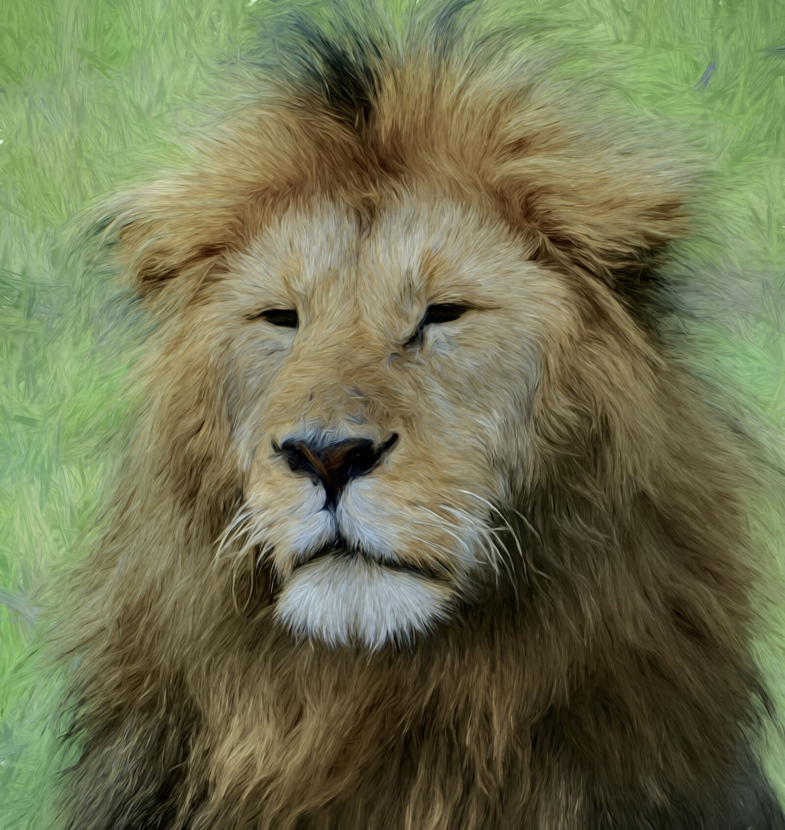 Nikon D300 sample photo. Lion, wildlife, face photography