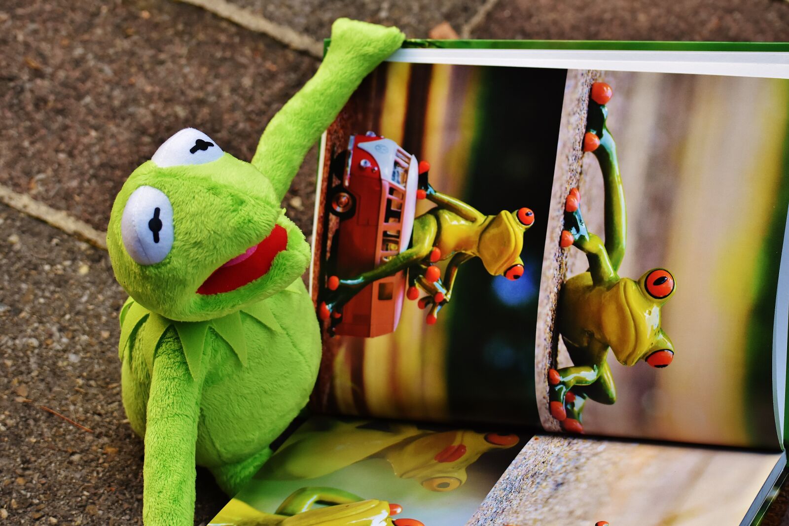 Nikon D7200 sample photo. Kermit, book, picture book photography