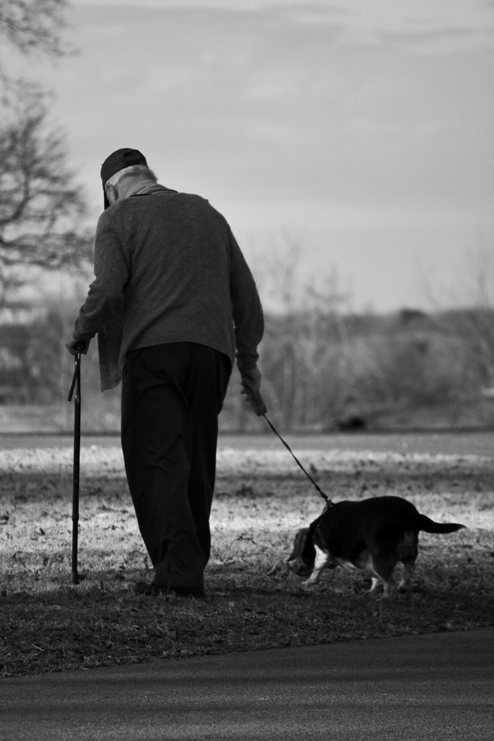 Nikon D5200 sample photo. Dog, old man, walk photography