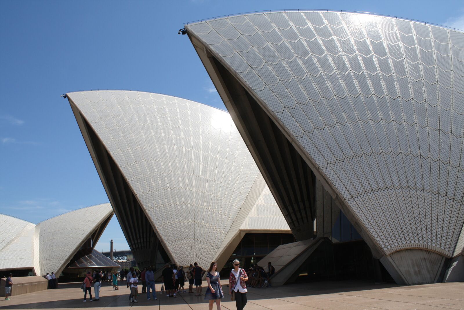 Canon EOS 1000D (EOS Digital Rebel XS / EOS Kiss F) sample photo. Sydney, australia, work photography