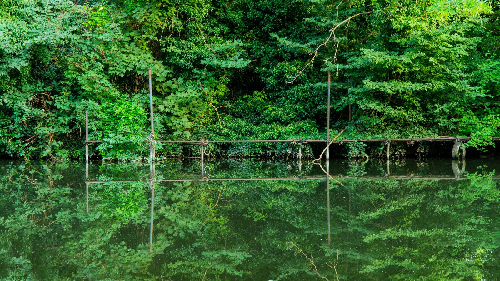 Sony a6000 sample photo. Green, reflection, nature photography