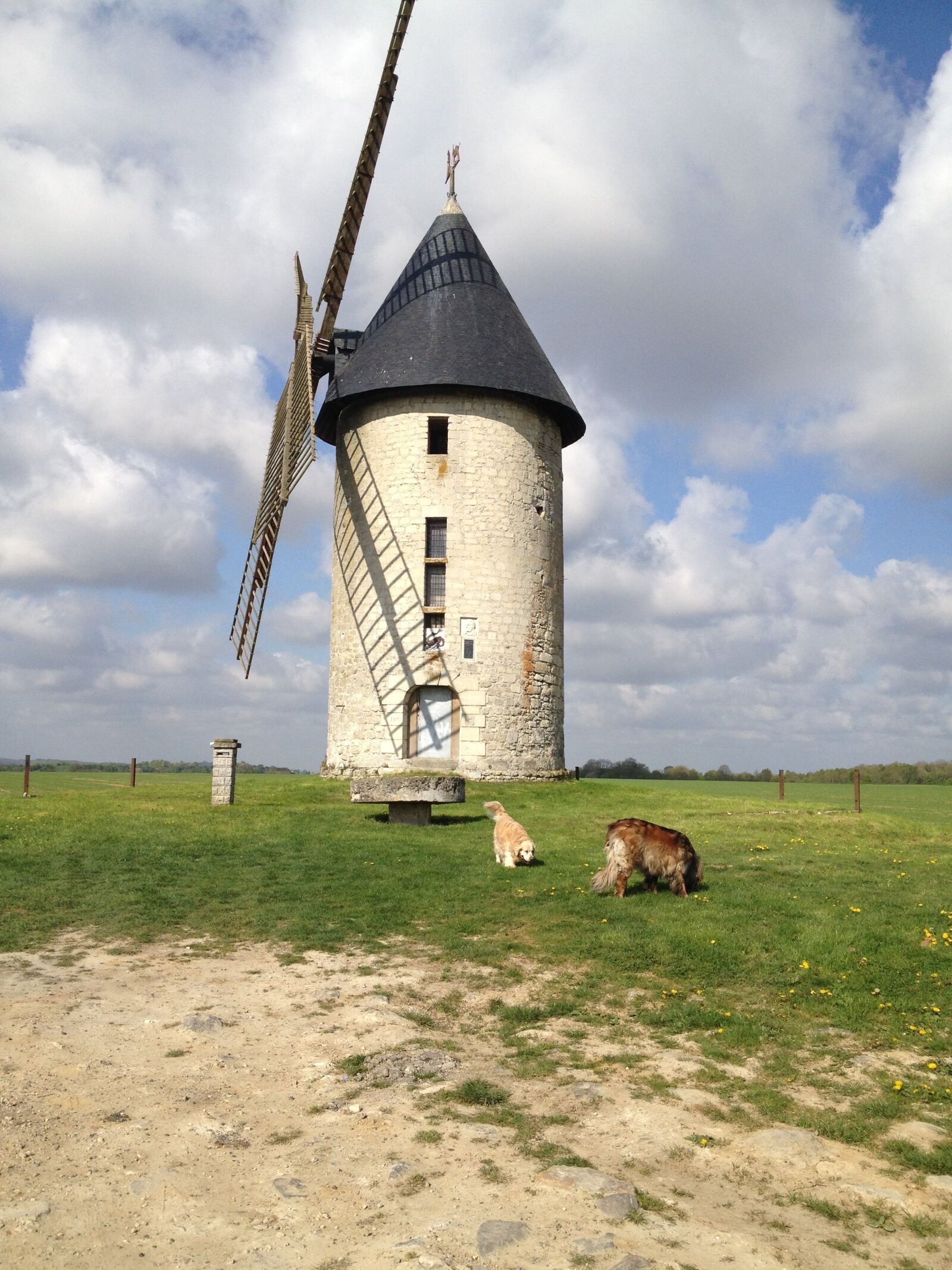 iPhone 4S back camera 4.28mm f/2.4 sample photo. Landscape, dog, windmill photography