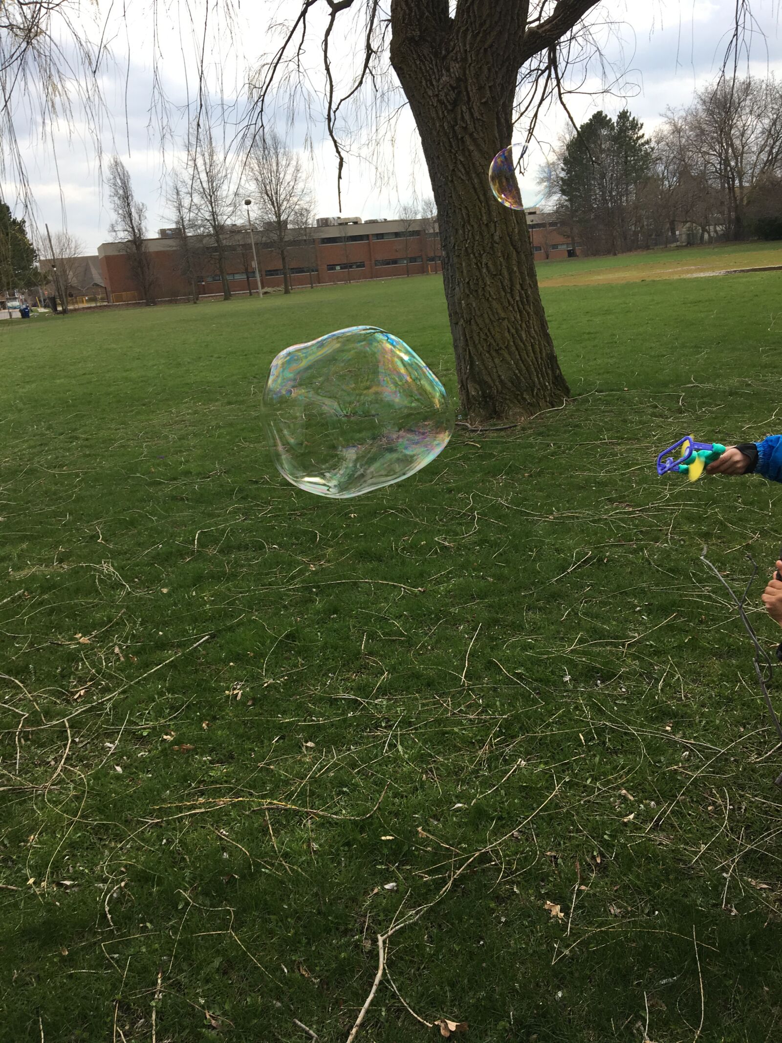 Apple iPhone 6s sample photo. Bubbles, park, fun photography