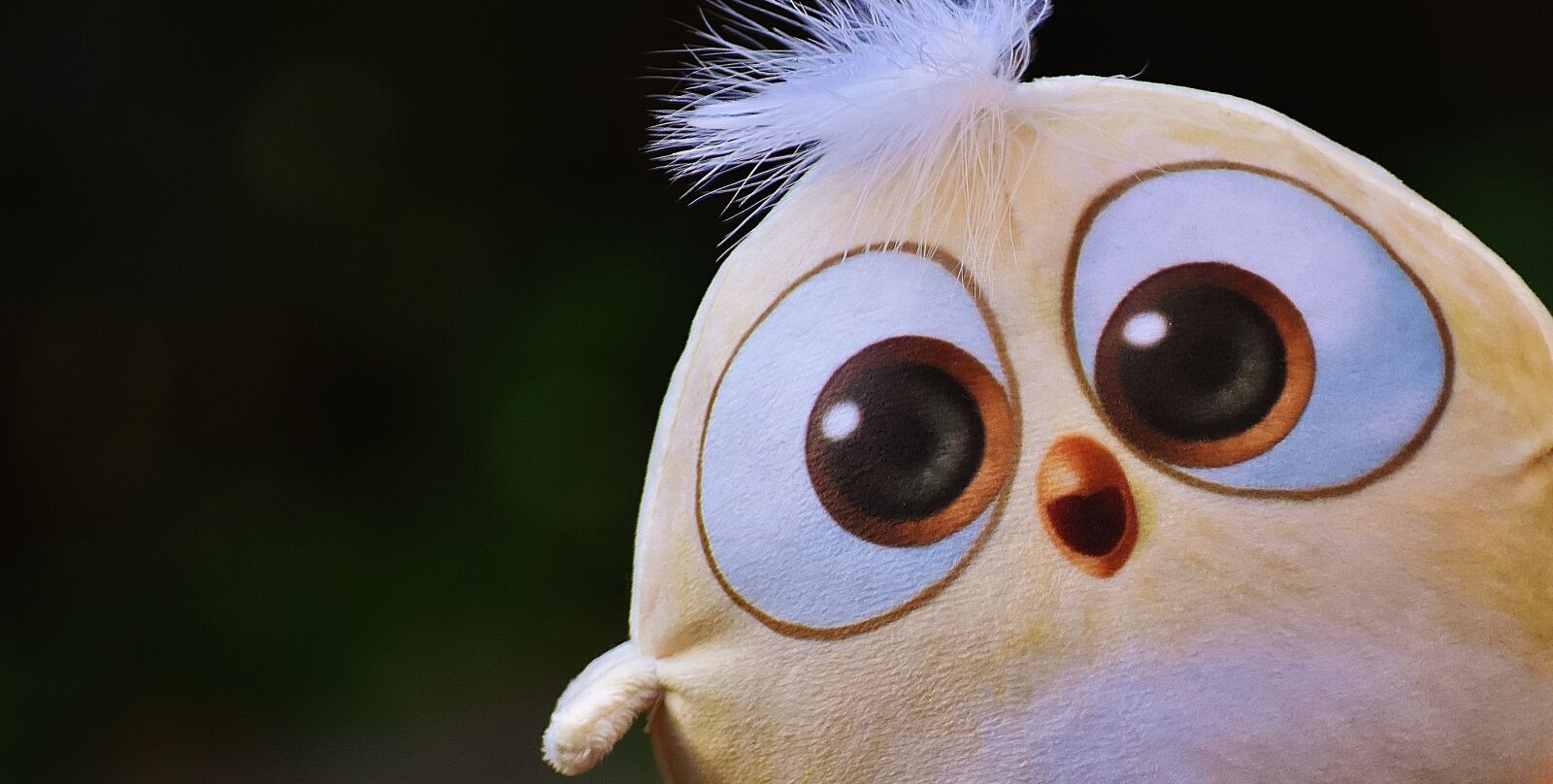 Nikon D7200 sample photo. Bird, birdie, plush photography