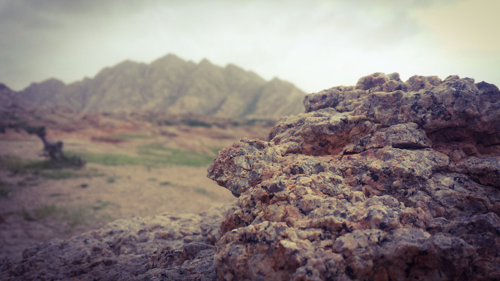 Samsung Galaxy S4 sample photo