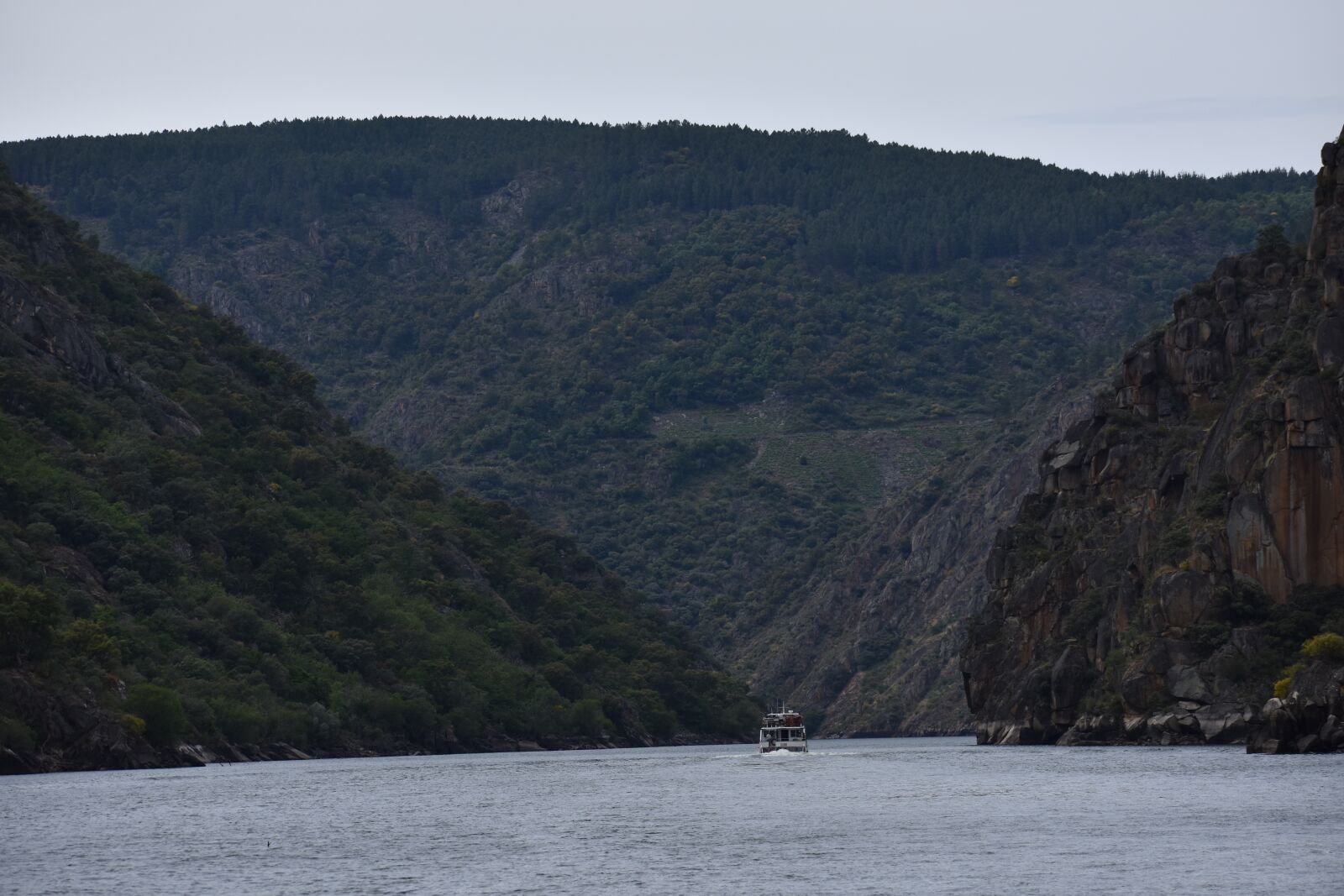Nikon D3400 sample photo. Water, mountain, landscape photography