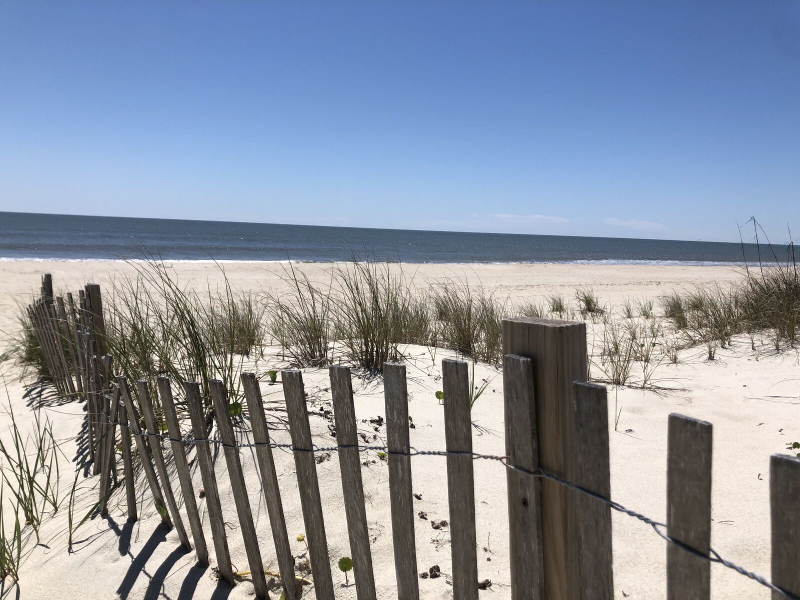 iPhone X back dual camera 4mm f/1.8 sample photo. Ocean isle beach, north photography