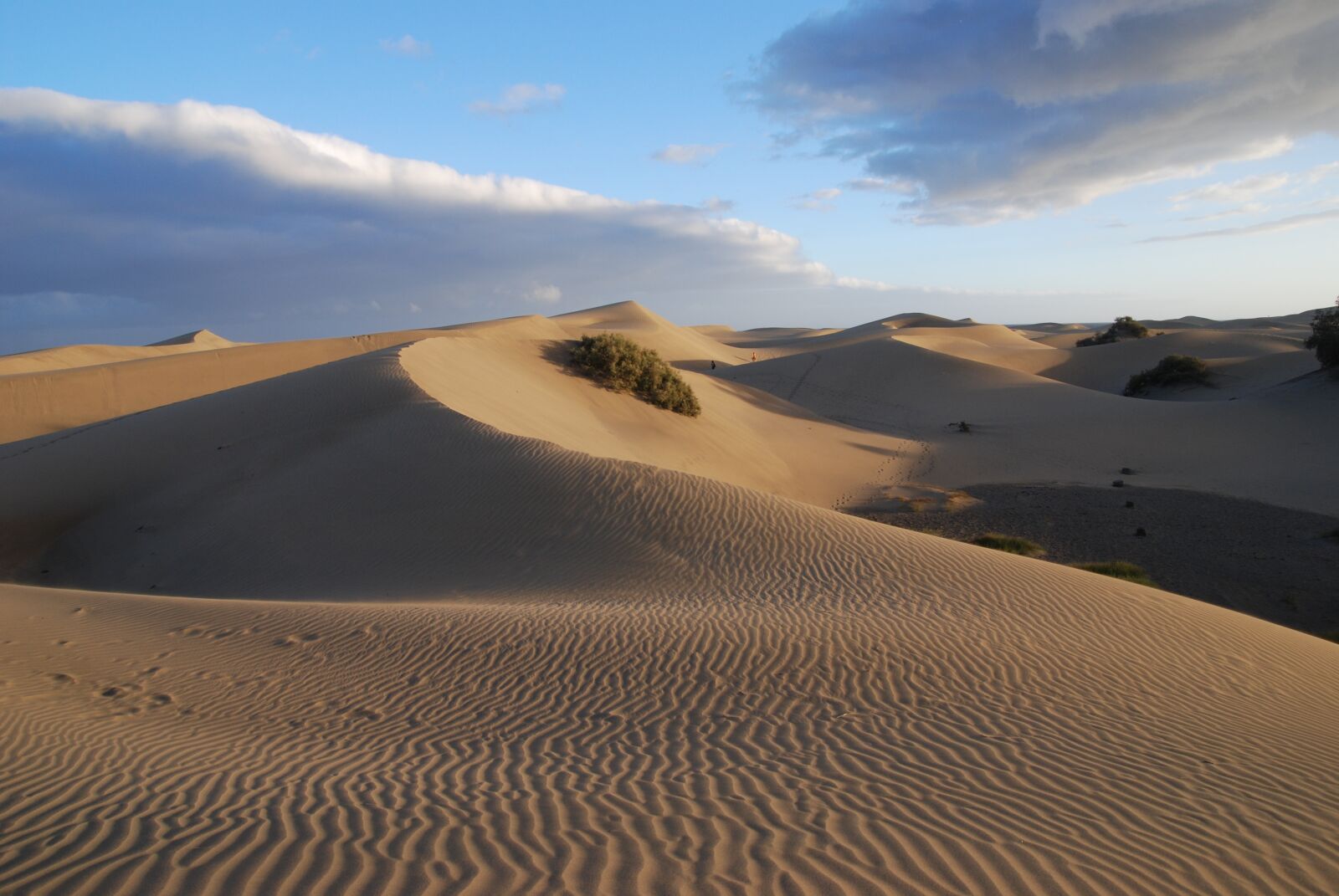 Nikon D80 sample photo. Desert, sand, dunes photography