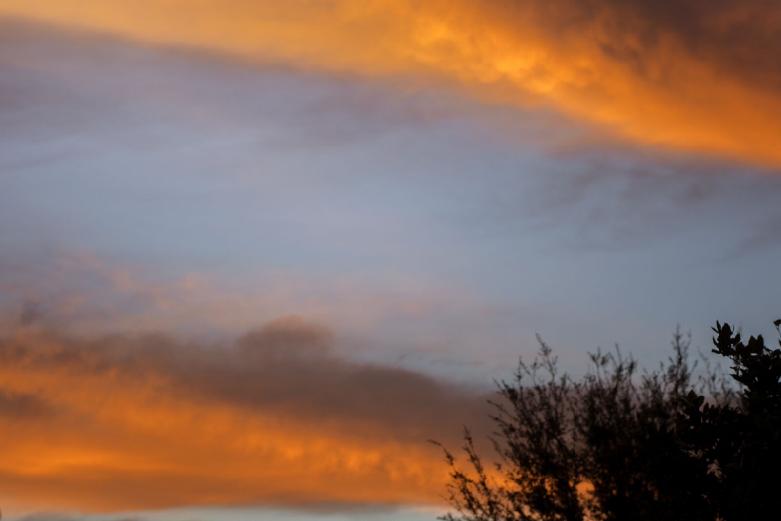 Nikon D7100 + Nikon AF-S Nikkor 50mm F1.8G sample photo. Sunset photography