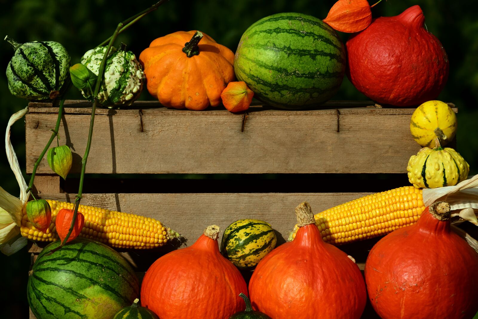 Nikon D3300 sample photo. Pumpkin, thanksgiving, harvest photography