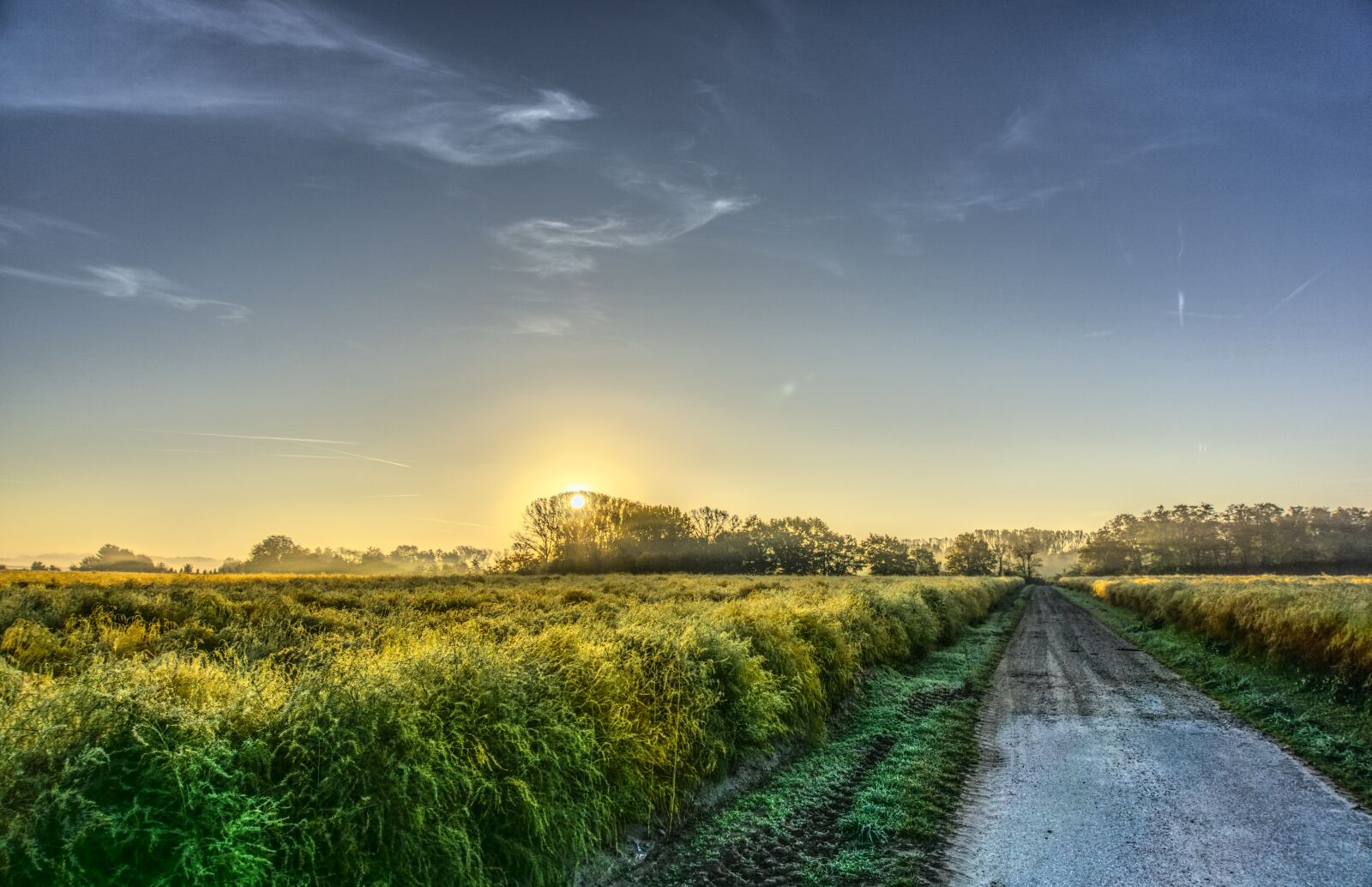 Sony E 16-50mm F3.5-5.6 PZ OSS sample photo. Sunrise, fog, sunlight photography