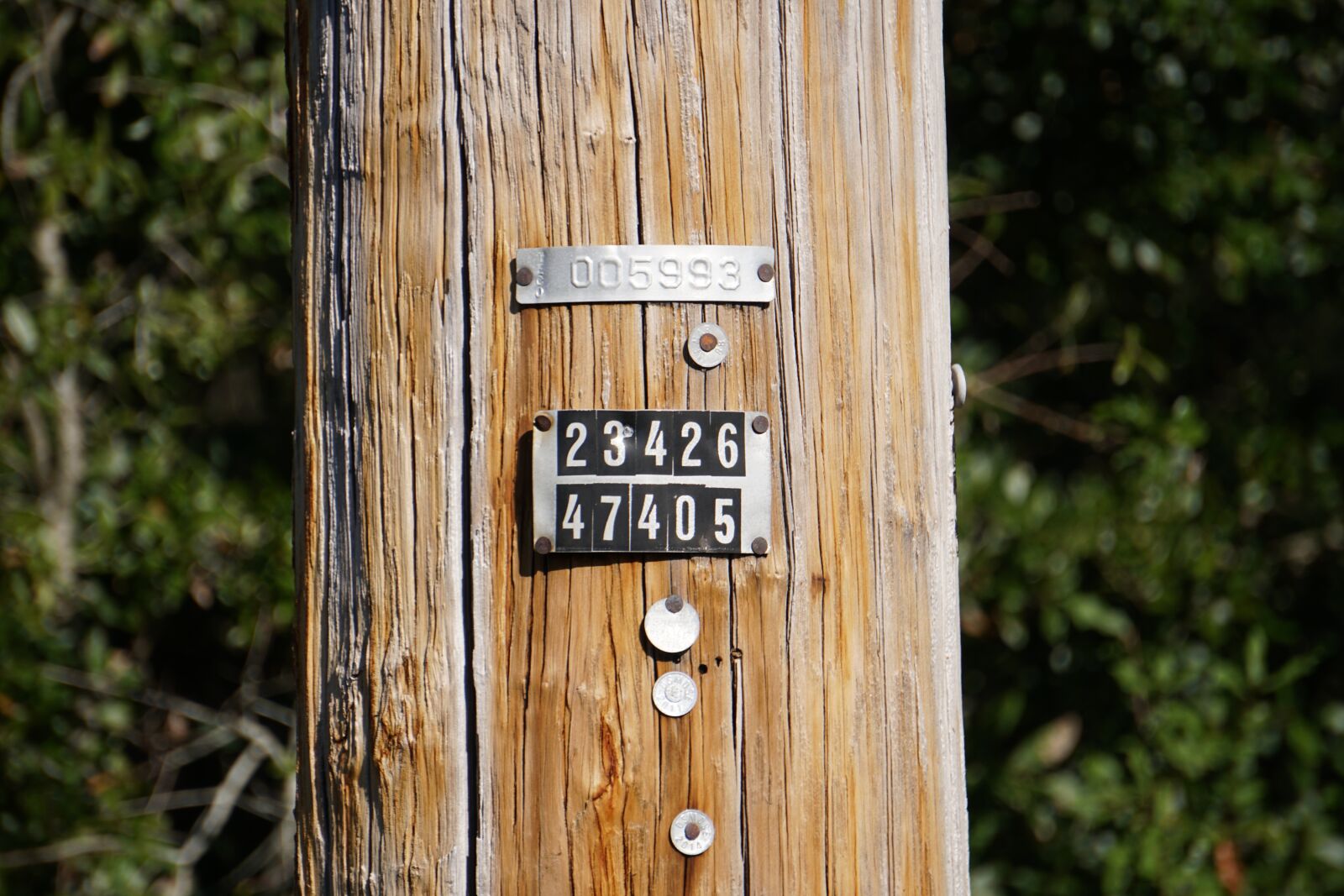 Sony E 55-210mm F4.5-6.3 OSS sample photo. Power pole, numbers, electricity photography