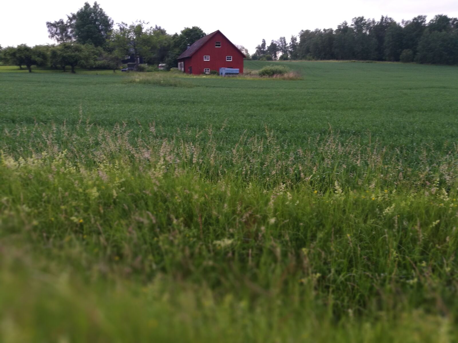 HUAWEI P9 sample photo. Sweden, south, field photography