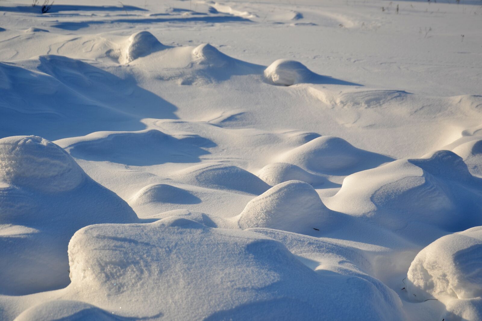 Nikon D3100 sample photo. Snow, snowdrifts, winter photography