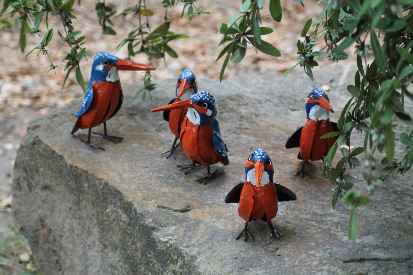Canon EOS 1100D (EOS Rebel T3 / EOS Kiss X50) sample photo. Birds, art, abstract photography