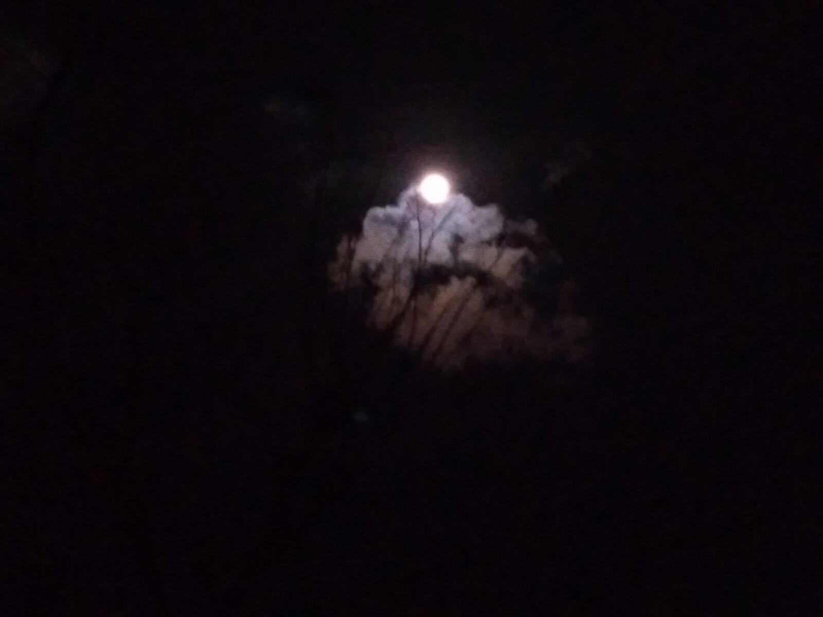 ASUS ZenFone 4 Max (ZC554KL) sample photo. Moon, cloud, night photography