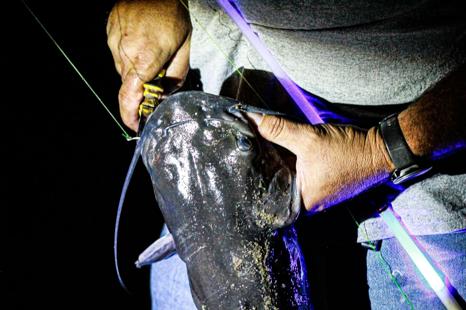 EF75-300mm f/4-5.6 sample photo. Fishing, catfish, freshwater photography