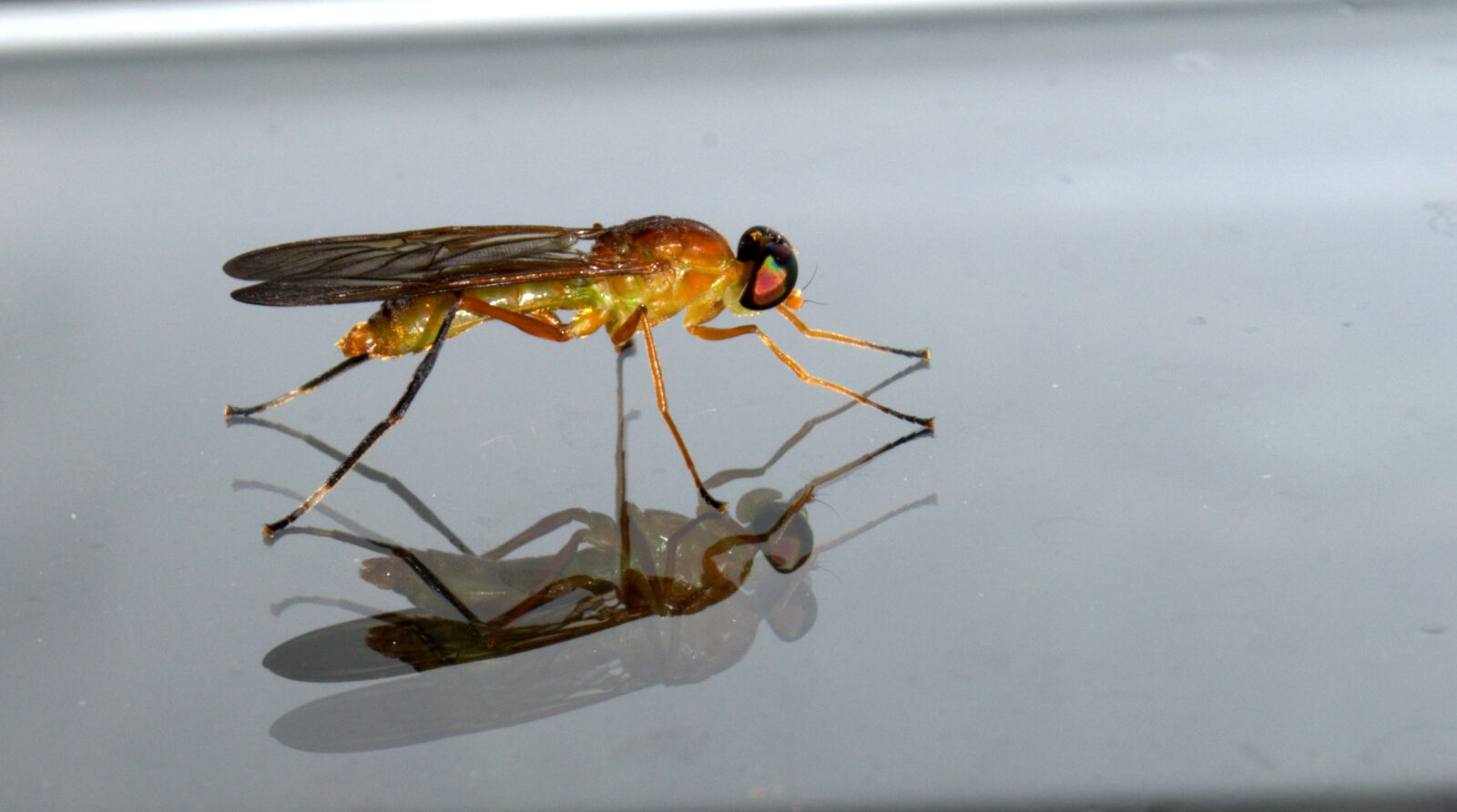 Nikon D5100 sample photo