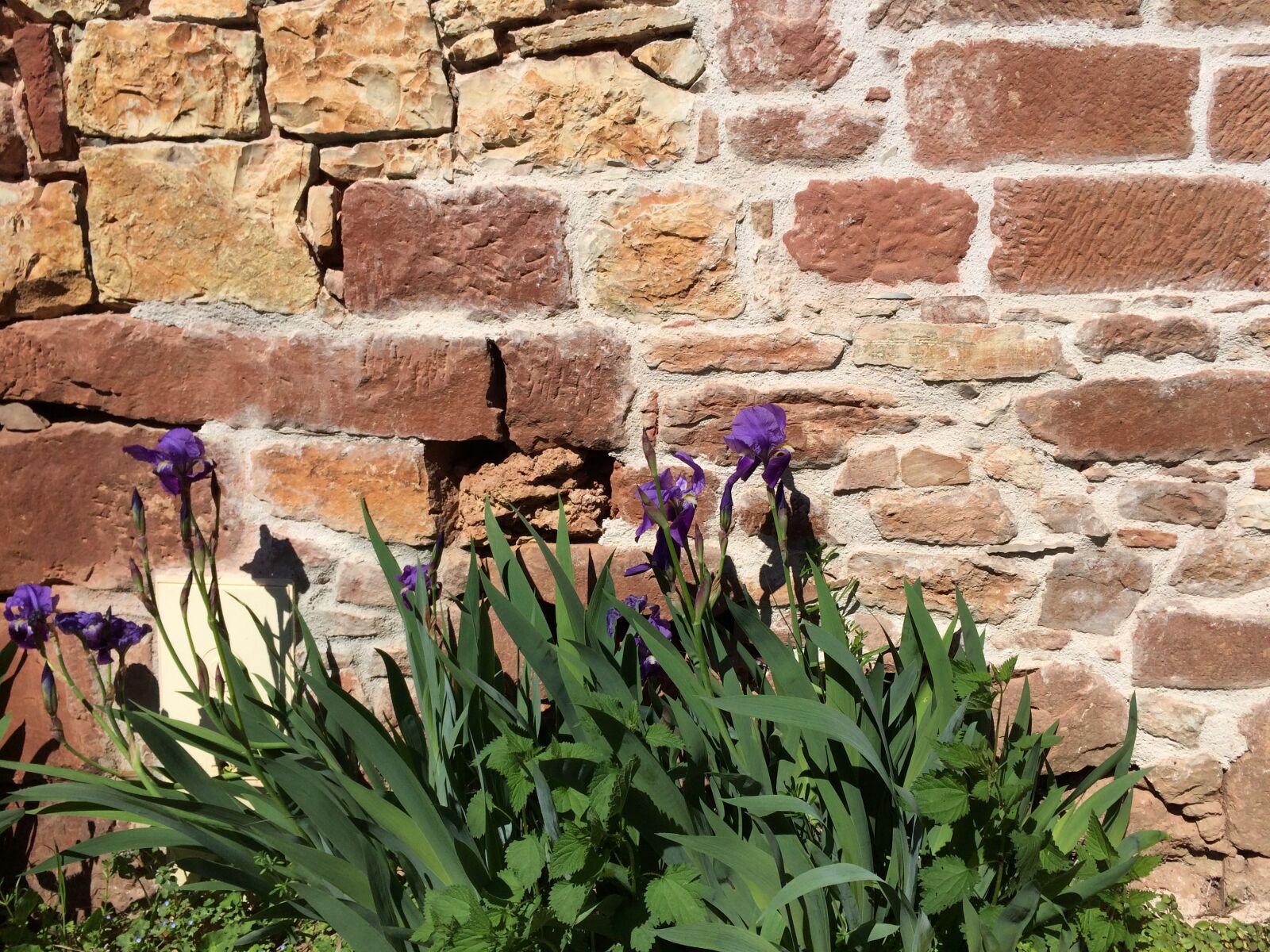 iPhone 5s back camera 4.15mm f/2.2 sample photo. Collonges, la, rouge, correze photography