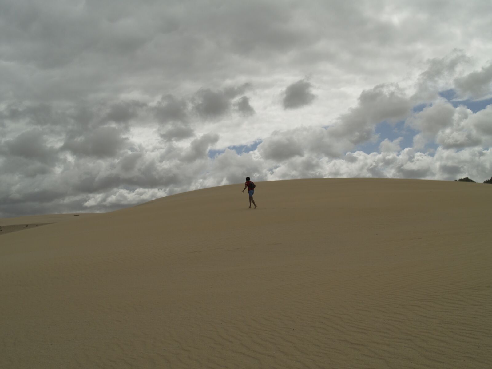 Olympus E-500 (EVOLT E-500) sample photo. Desert, dunes, sand photography