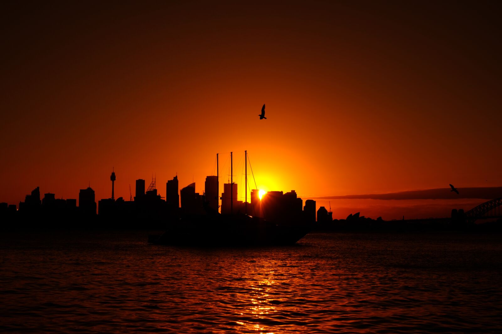 Fujifilm X-T2 + Fujifilm XF 35mm F1.4 R sample photo. Sydney, sunset, evening sun photography