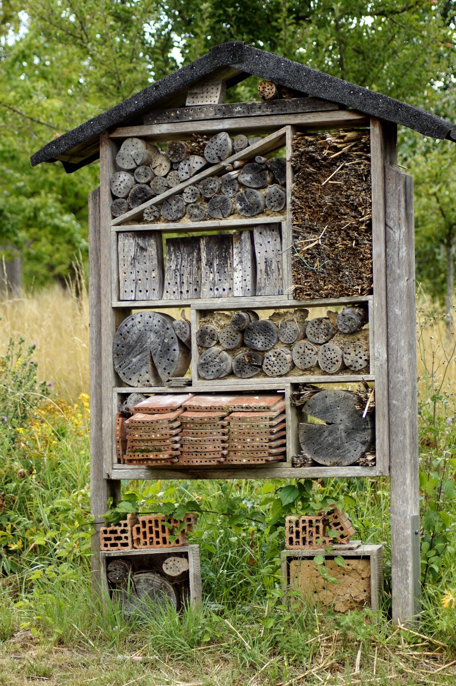 Sony SLT-A58 sample photo. Insect hotel, insect house photography