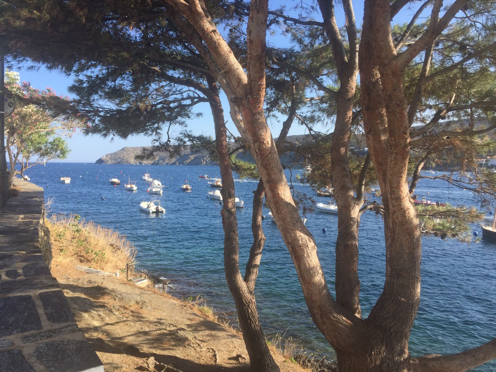 iPhone 6 back camera 4.15mm f/2.2 sample photo. South of france, sea photography