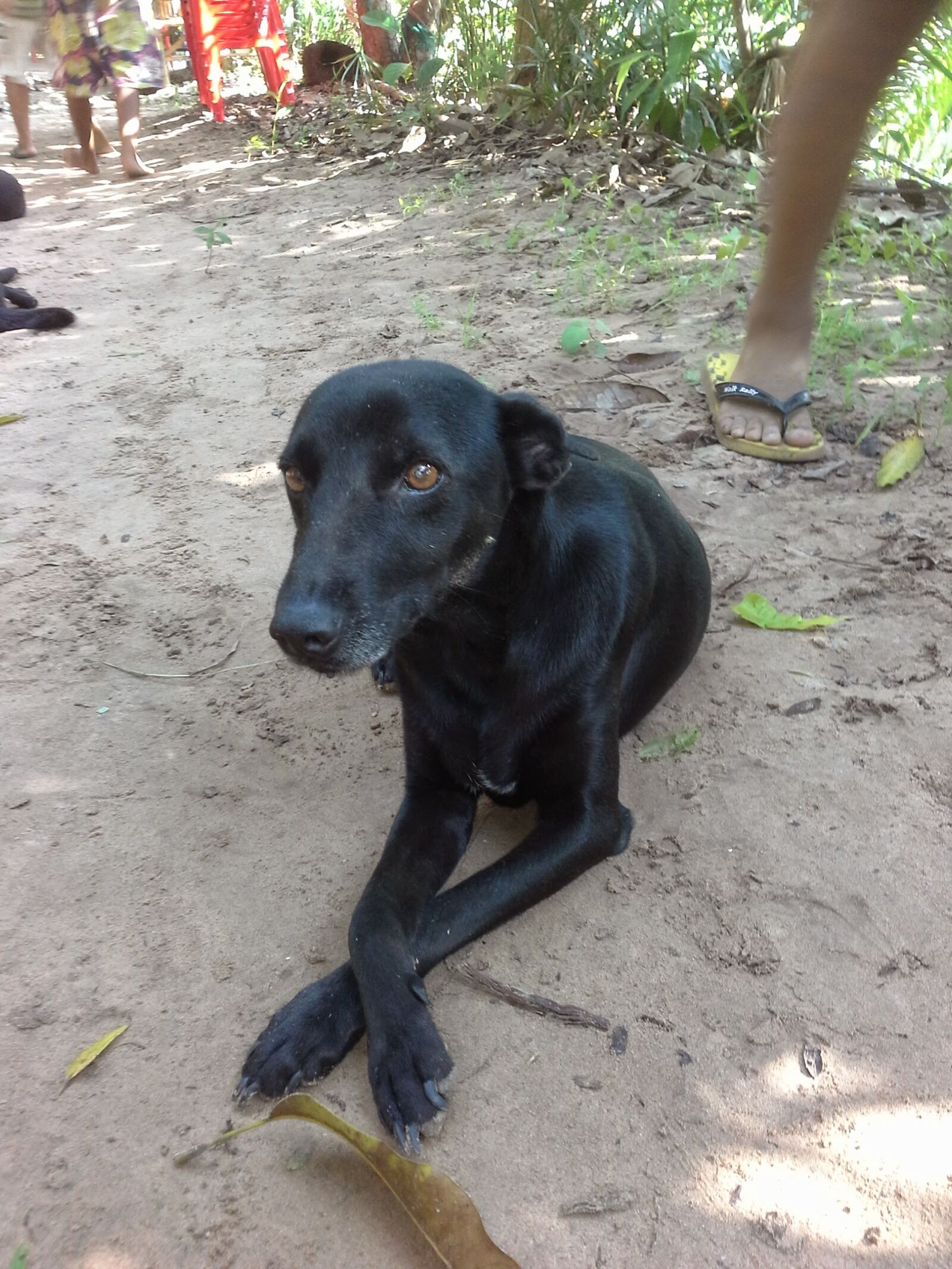 Samsung Galaxy Note 10.1 sample photo