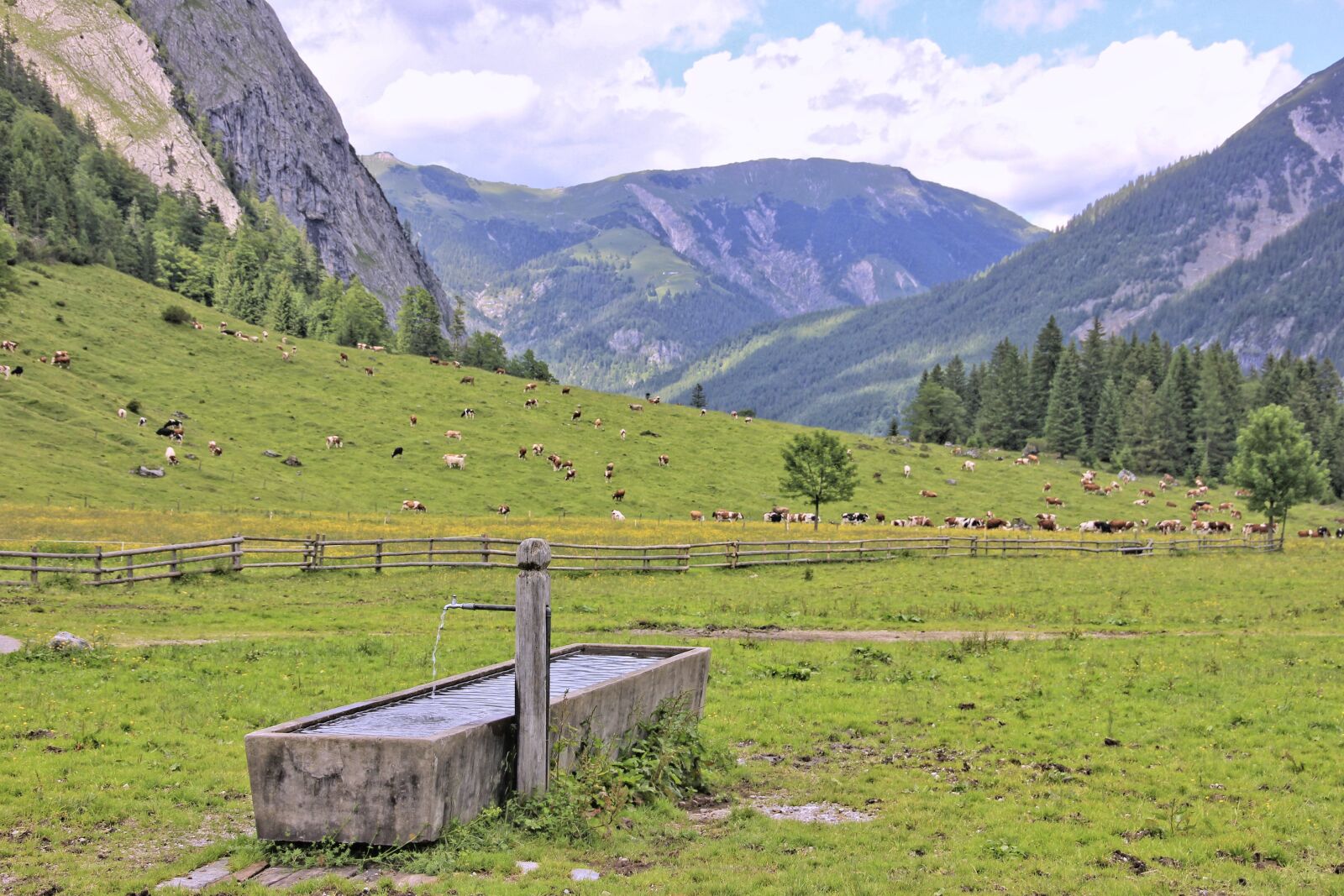 Canon EOS 550D (EOS Rebel T2i / EOS Kiss X4) sample photo. Nature, mountain, landscape photography